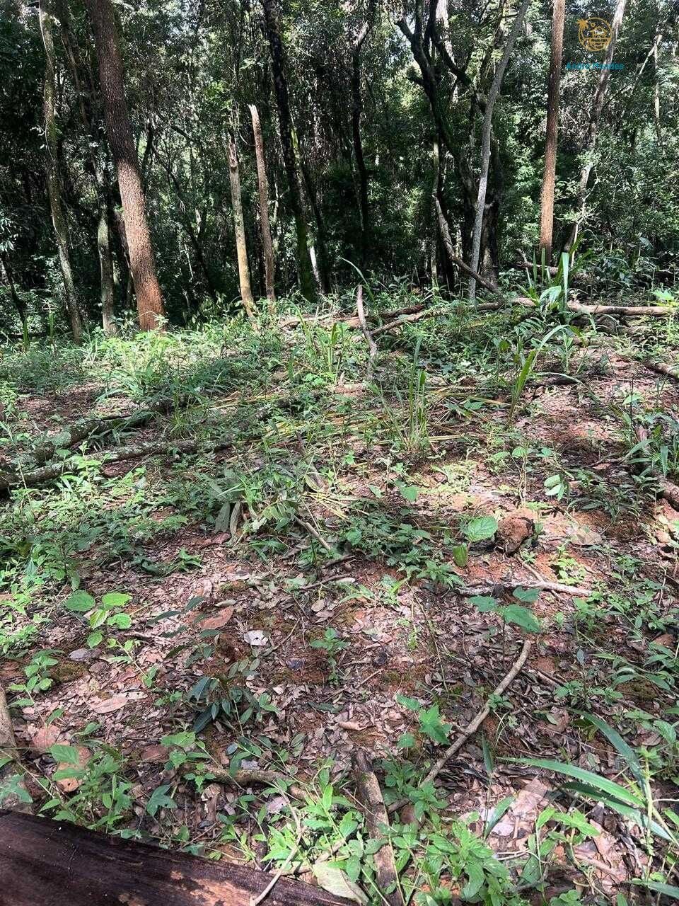 Terreno, 5000 m² - Foto 17