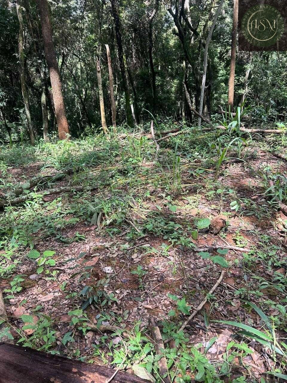Terreno, 5000 m² - Foto 17