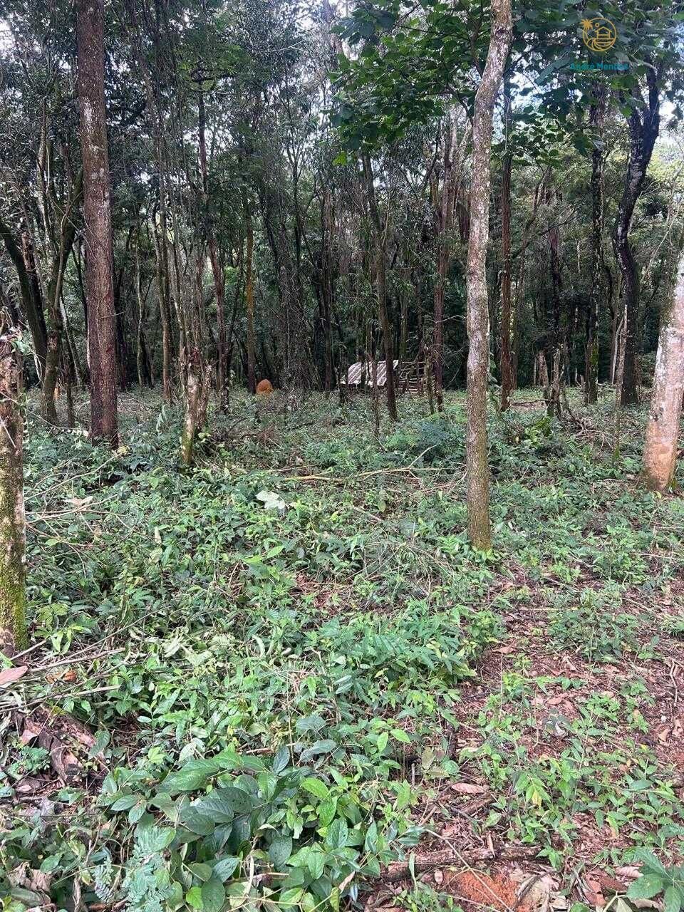 Terreno, 5000 m² - Foto 21