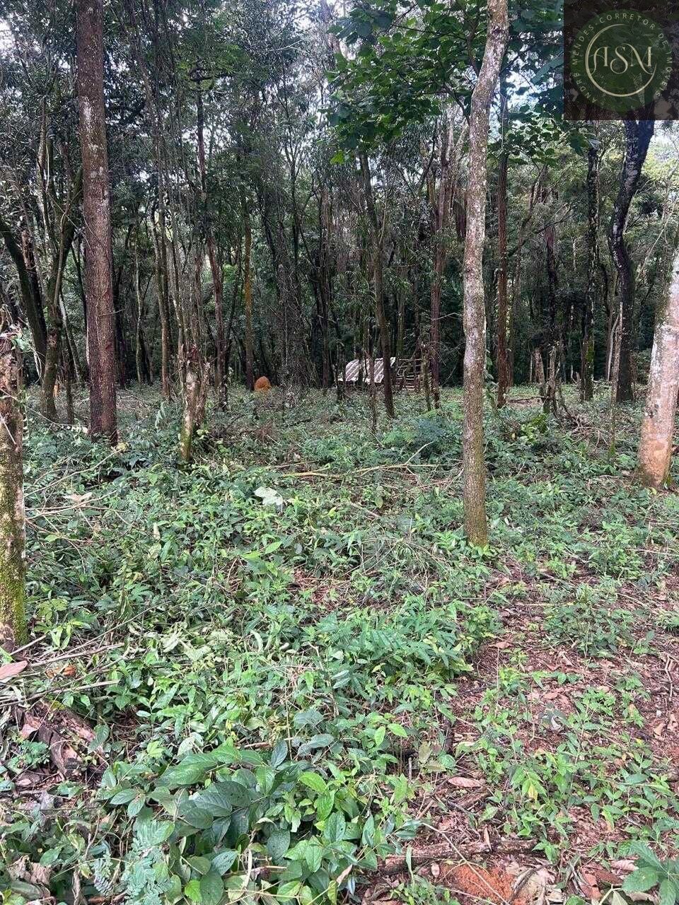 Terreno, 5000 m² - Foto 21