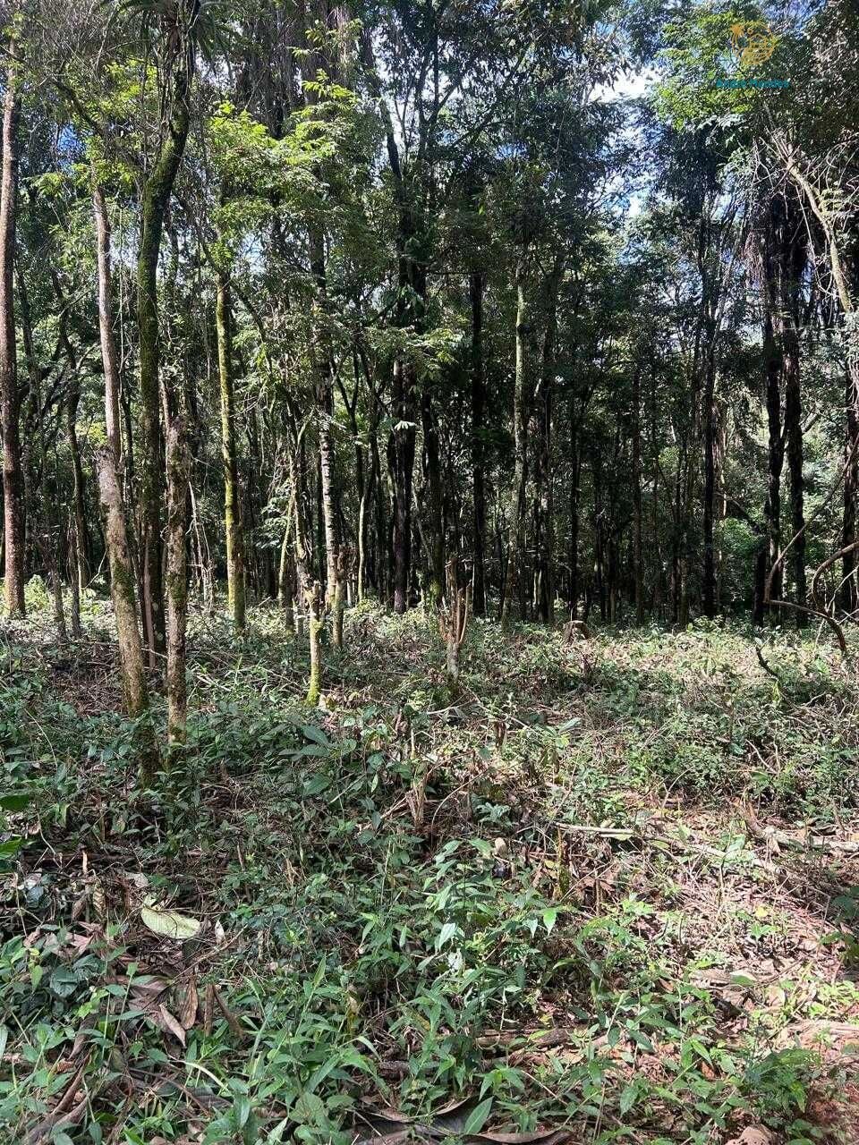 Terreno, 5000 m² - Foto 19
