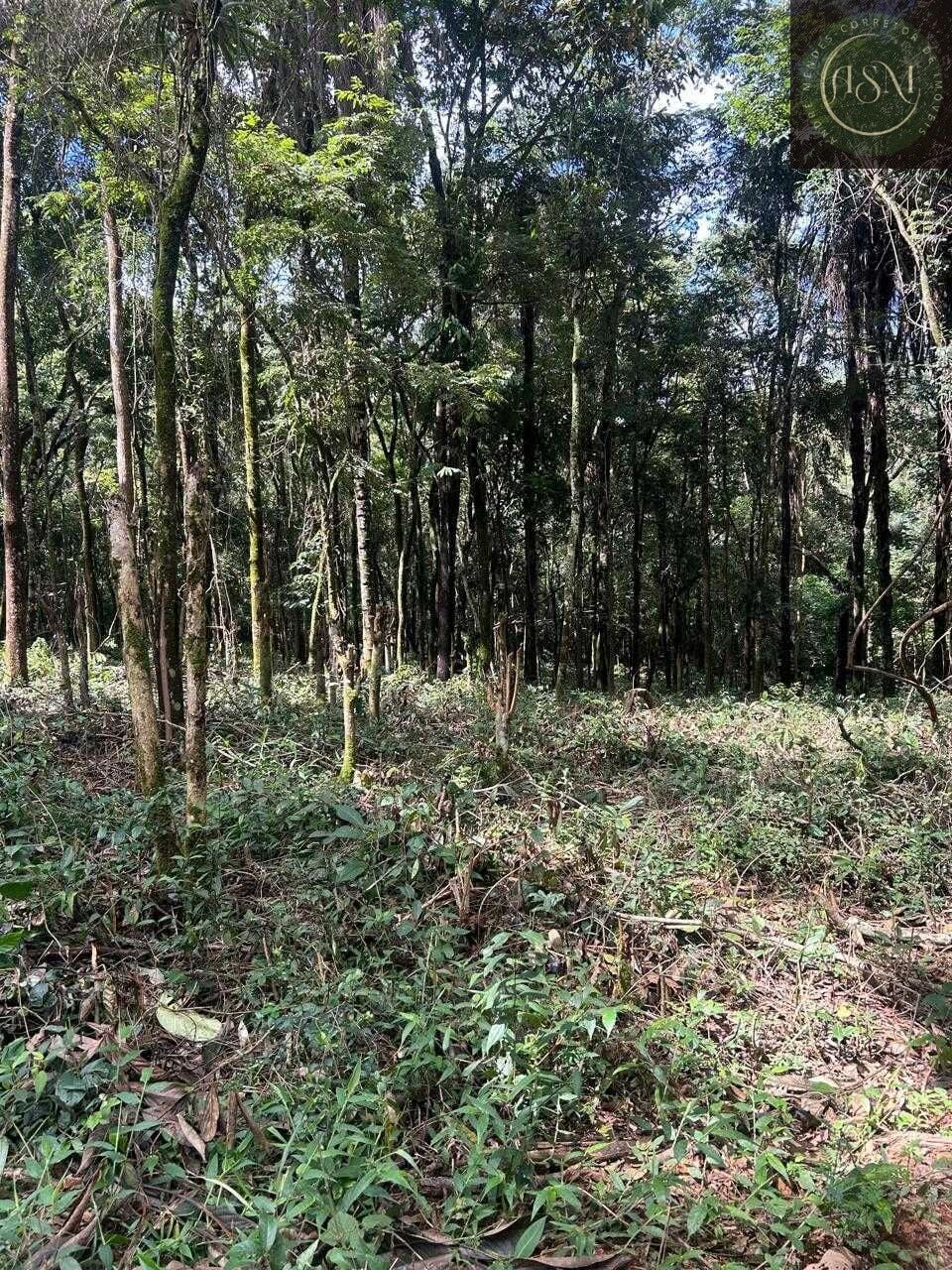 Terreno, 5000 m² - Foto 19