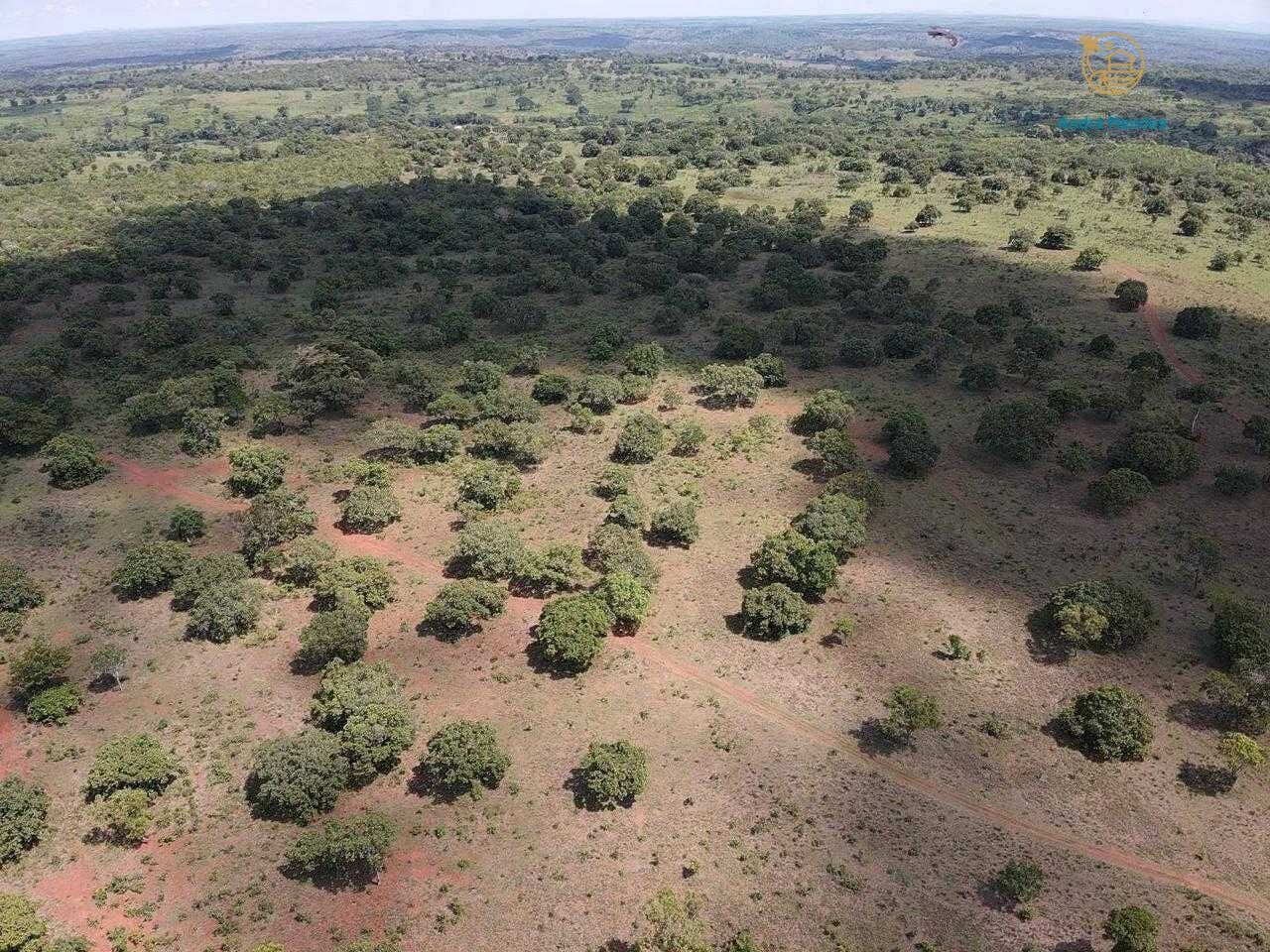Terreno, 5000 m² - Foto 8