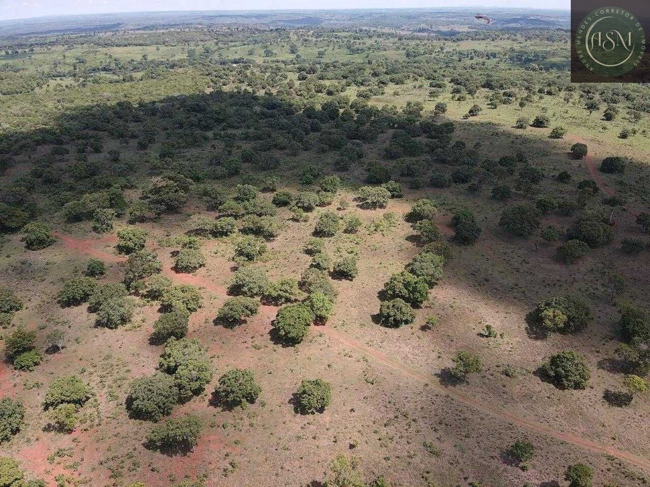 Terreno, 5000 m² - Foto 8