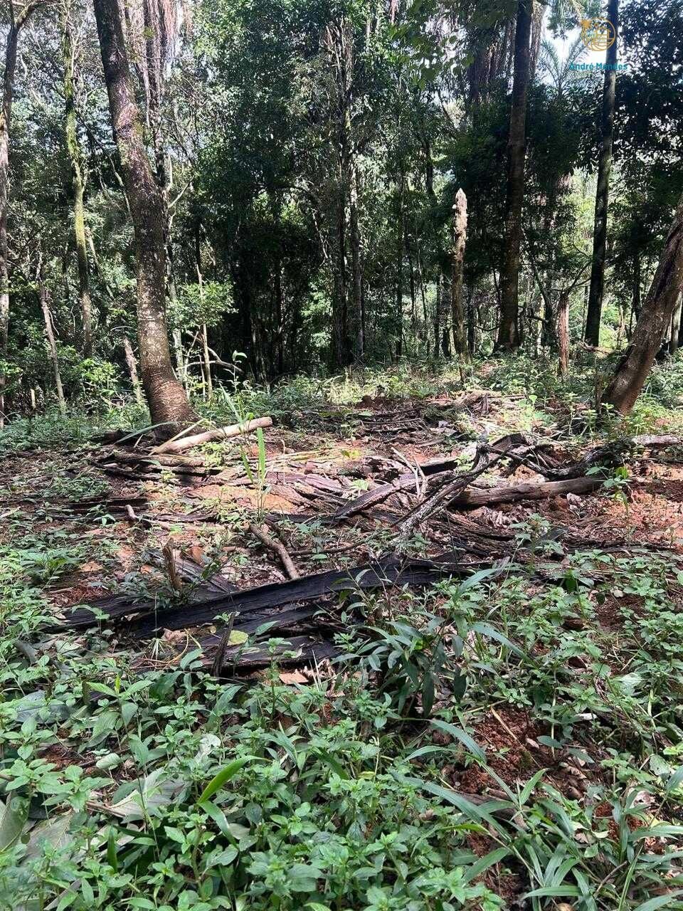 Terreno, 5000 m² - Foto 14