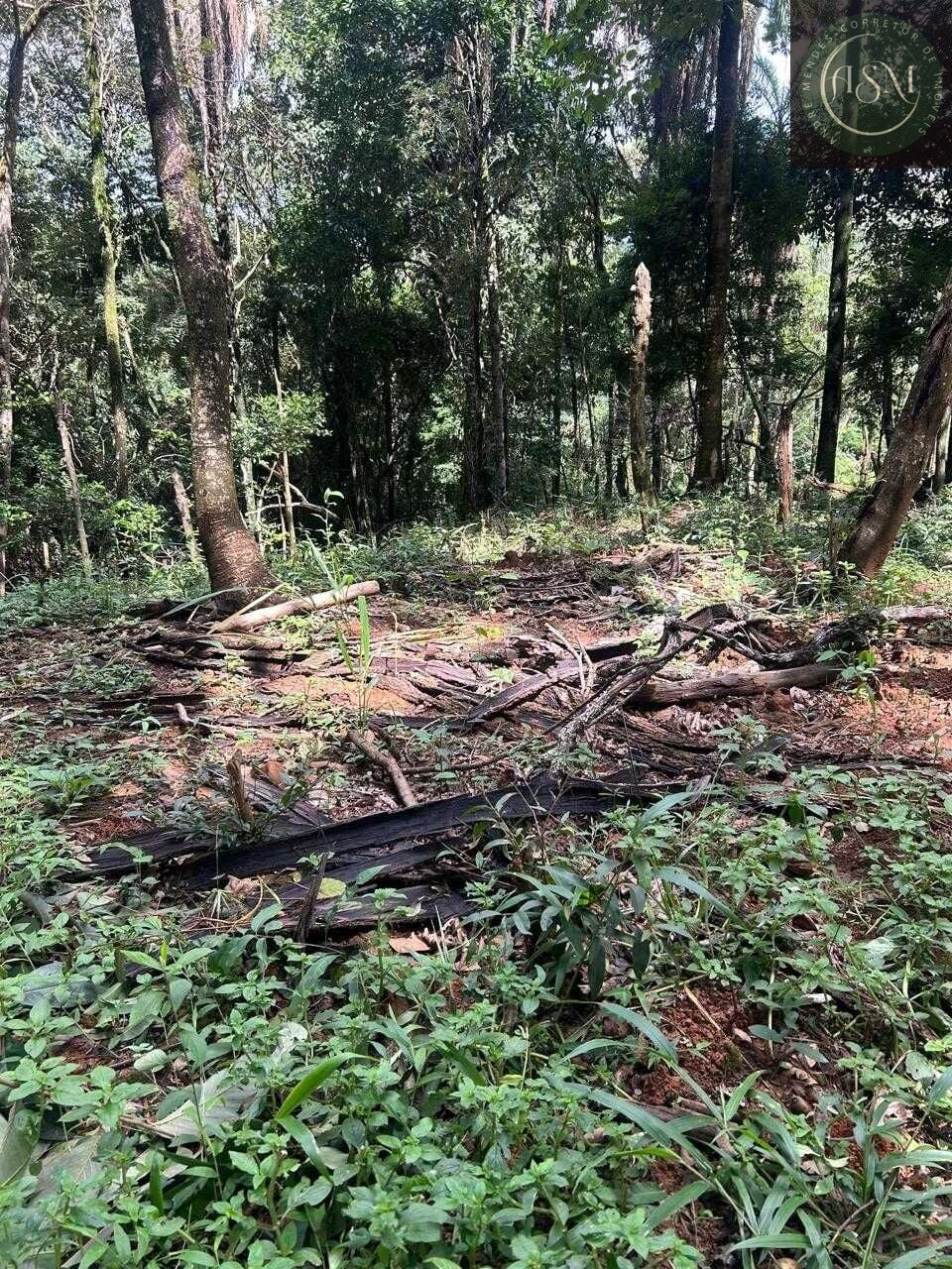 Terreno, 5000 m² - Foto 14