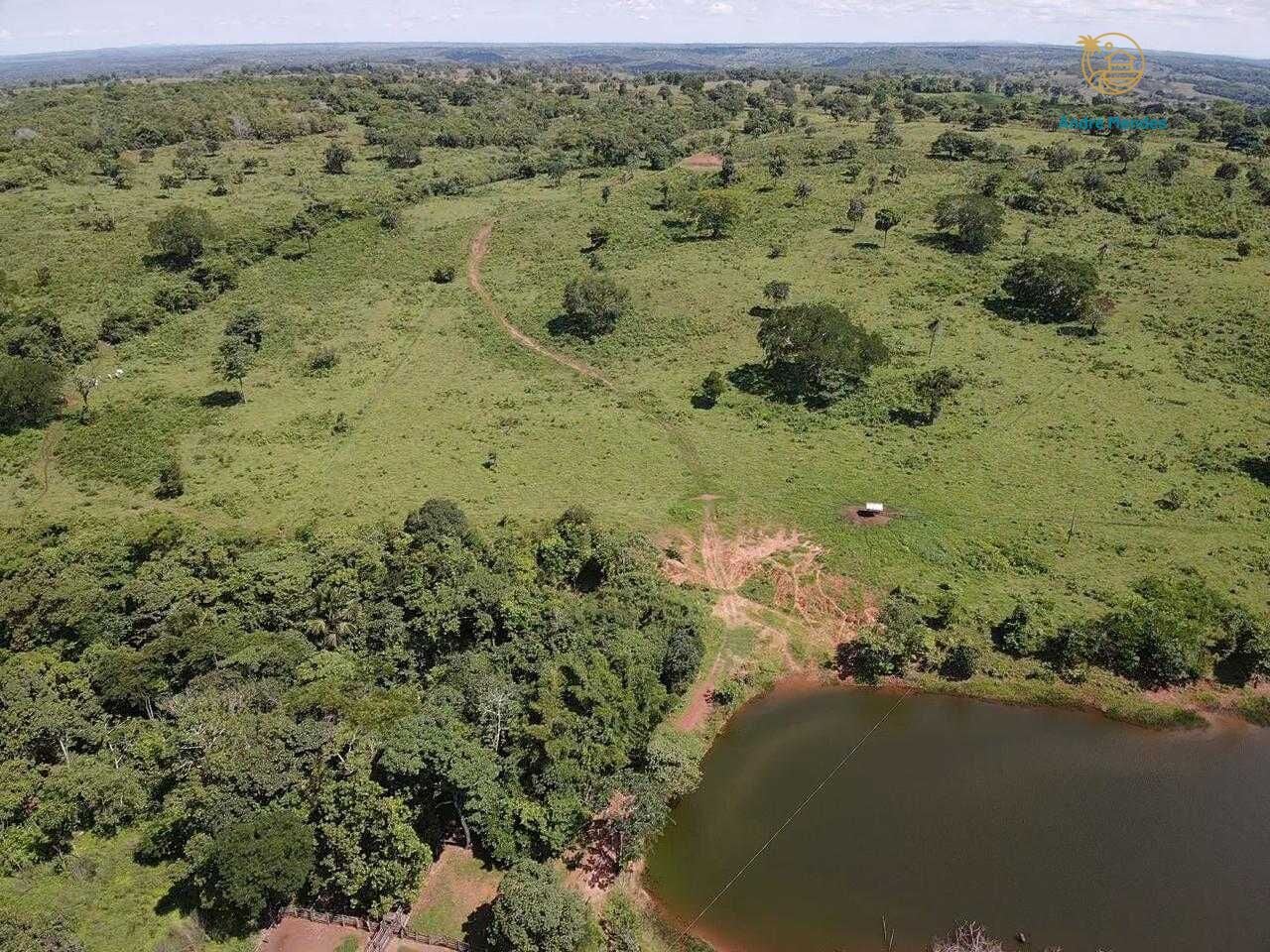 Terreno, 5000 m² - Foto 9