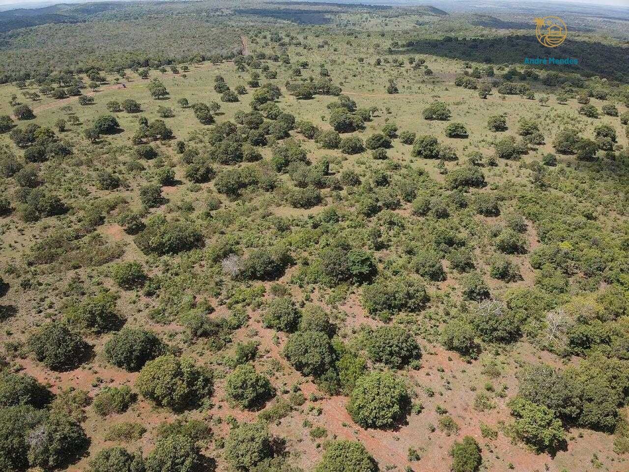 Terreno, 5000 m² - Foto 6