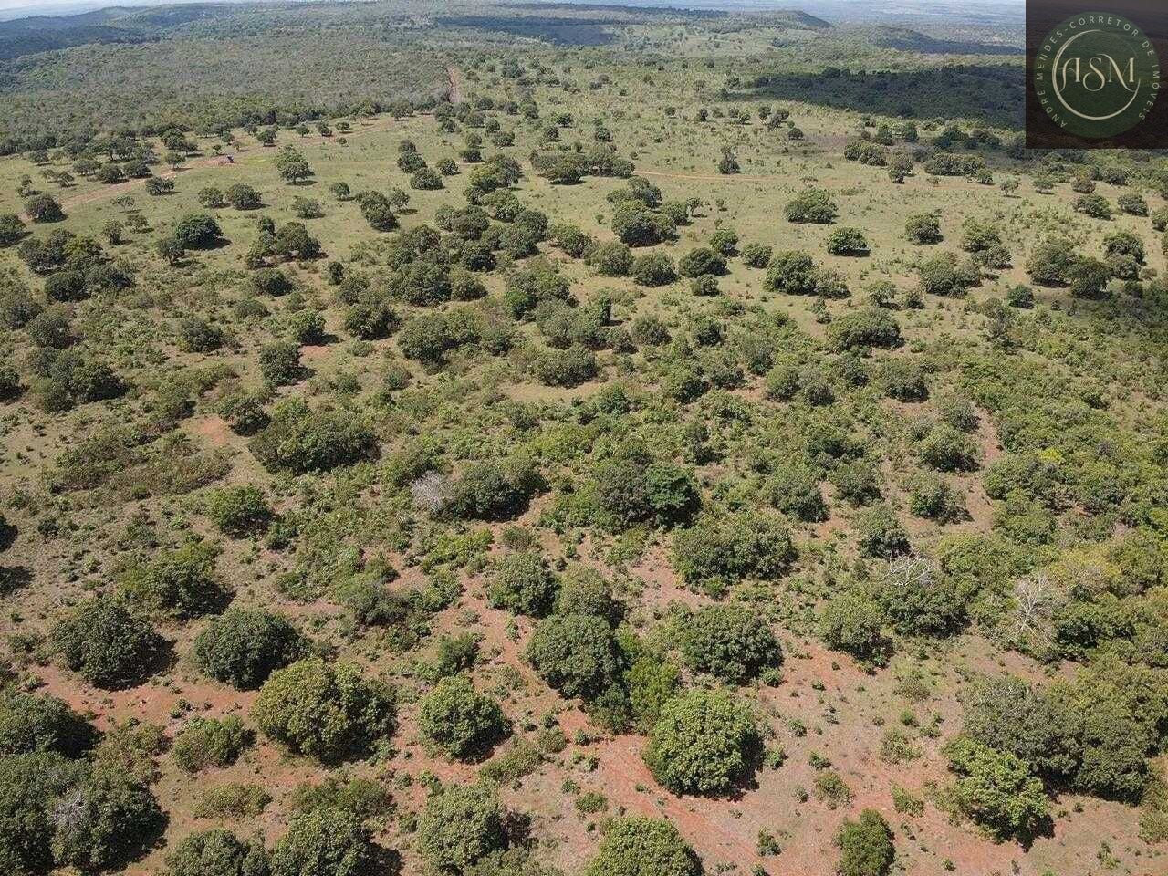 Terreno, 5000 m² - Foto 6