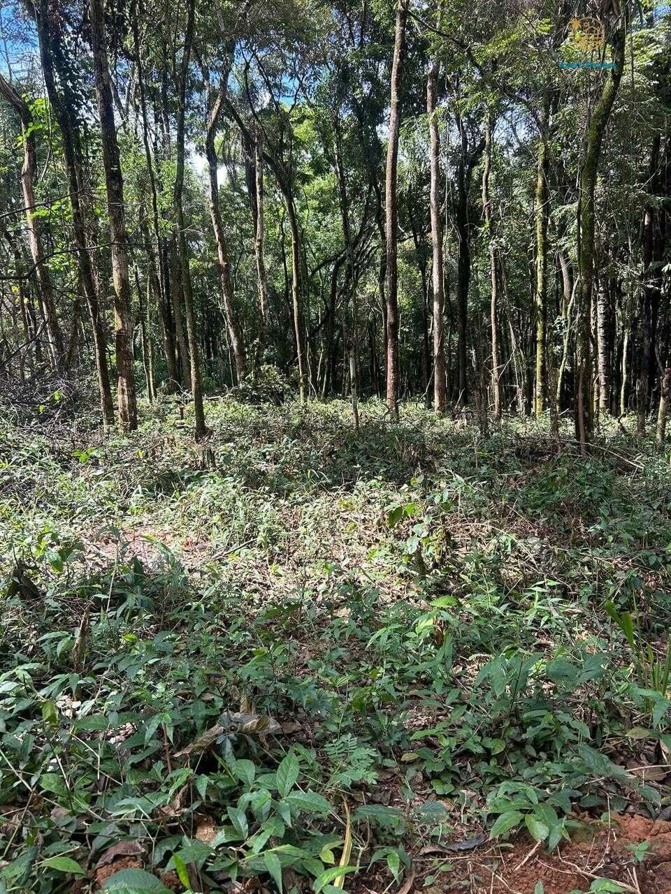 Terreno, 5000 m² - Foto 20