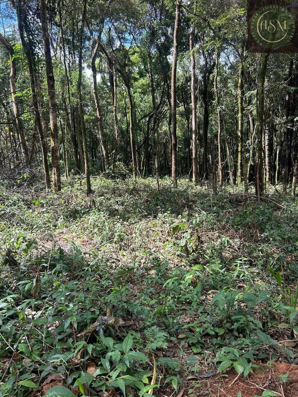Terreno, 5000 m² - Foto 20