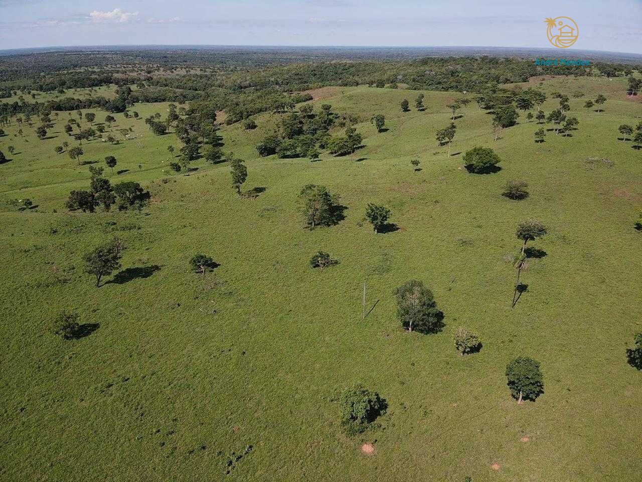 Terreno, 5000 m² - Foto 7