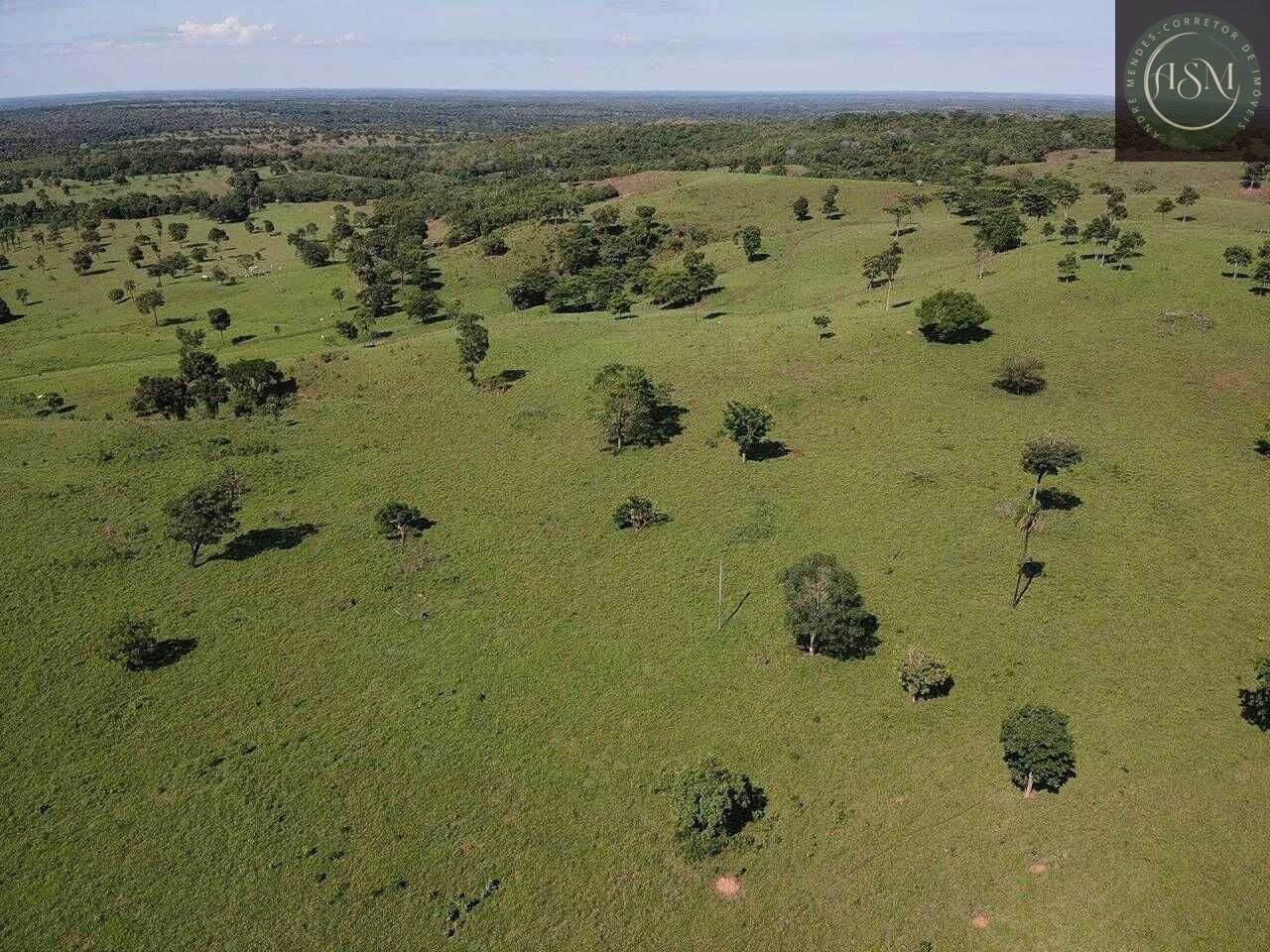 Terreno, 5000 m² - Foto 7