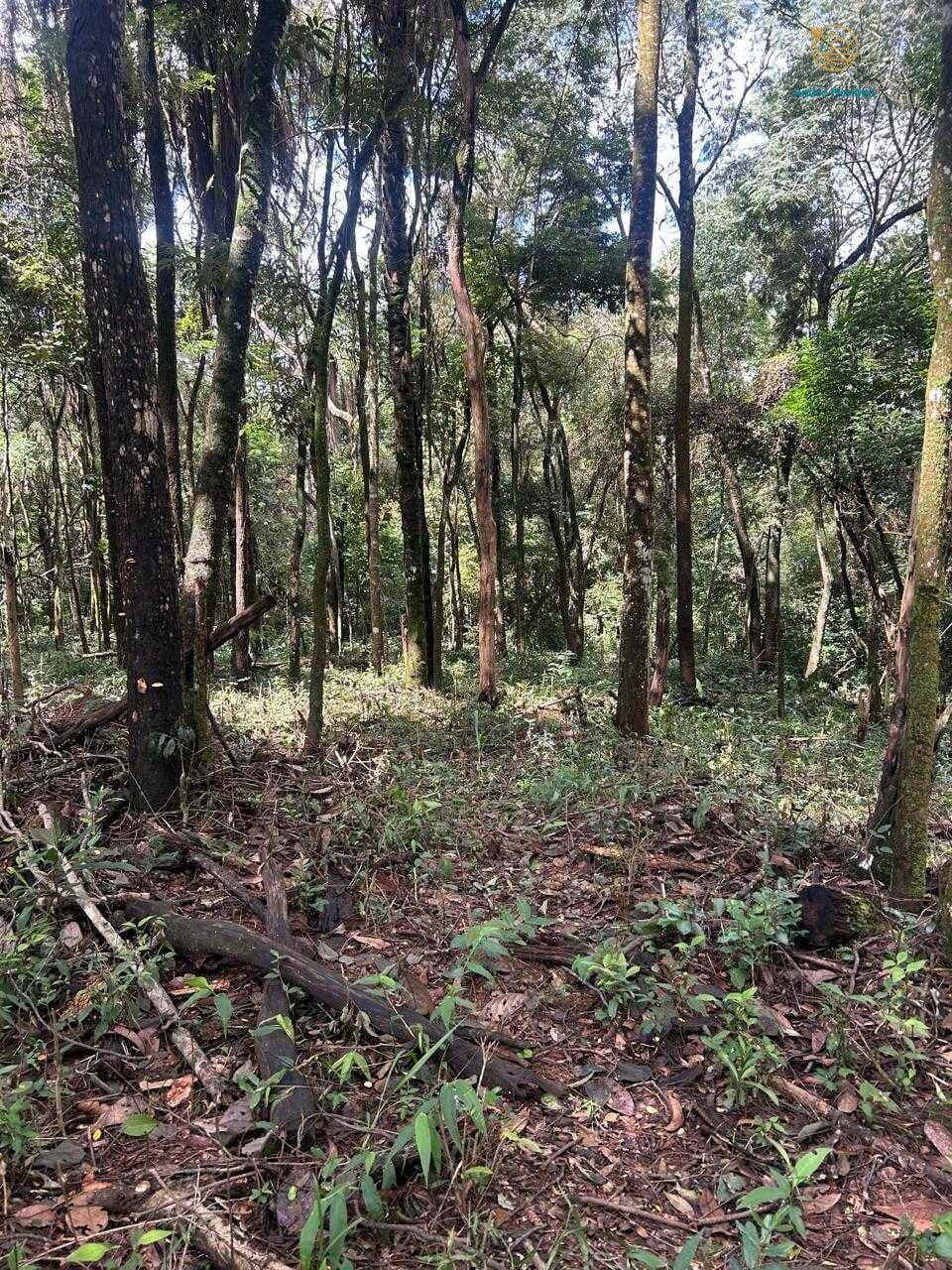 Terreno, 5000 m² - Foto 13