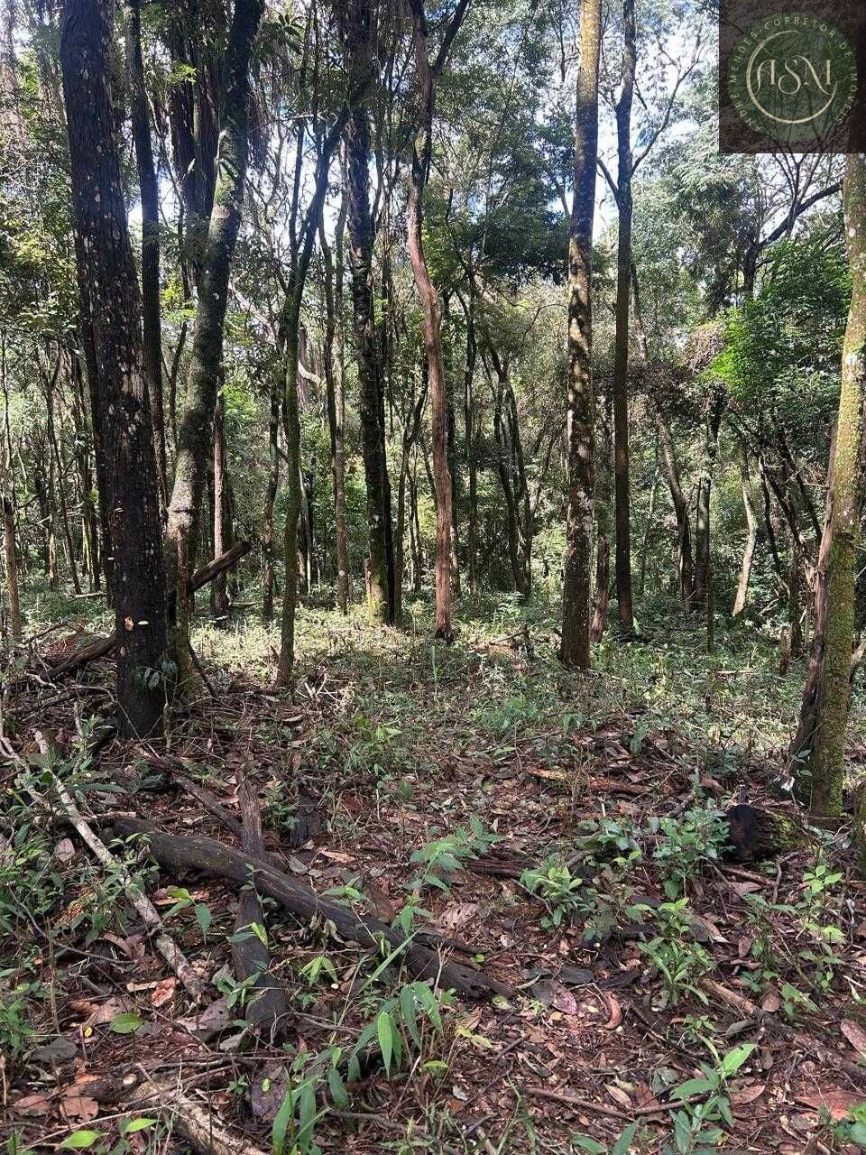Terreno, 5000 m² - Foto 13