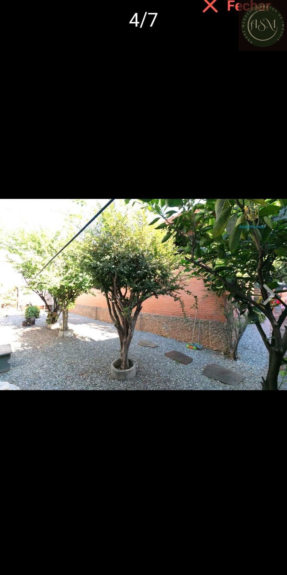 Casa, 5 quartos, 555 m² - Foto 18