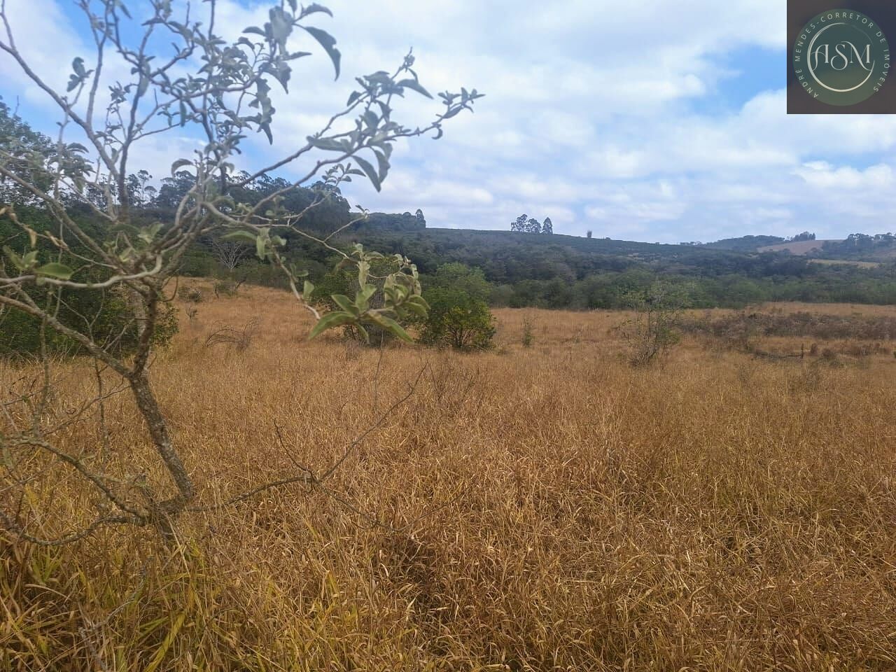 Fazenda, 55 hectares - Foto 9