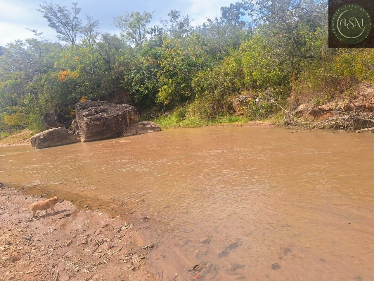 Fazenda, 55 hectares - Foto 8