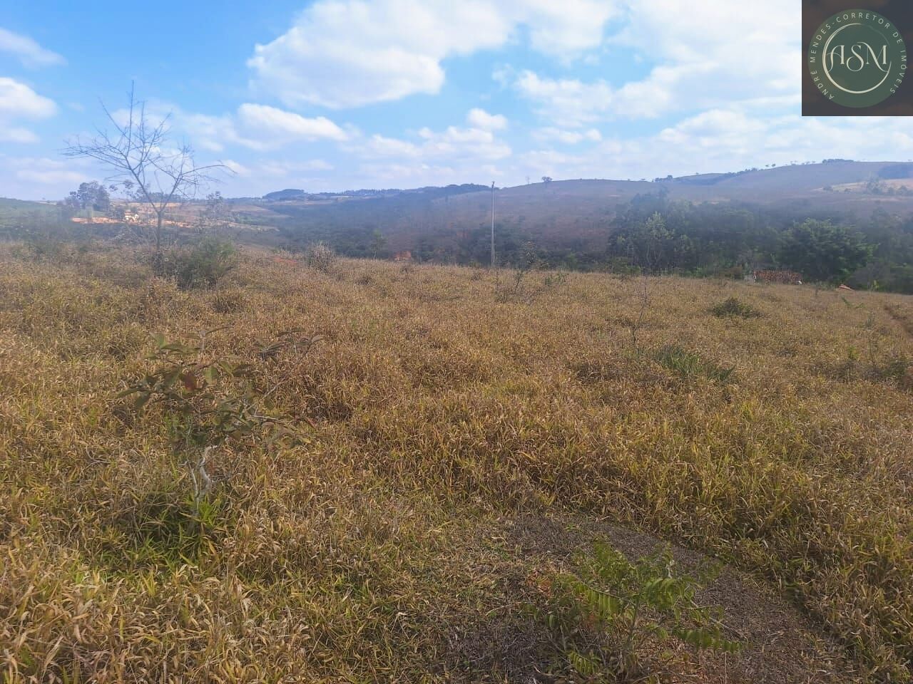 Fazenda, 55 hectares - Foto 10