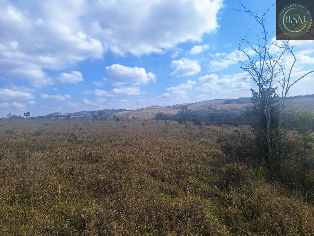 Fazenda, 55 hectares - Foto 6