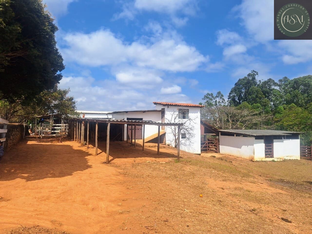 Fazenda, 55 hectares - Foto 11