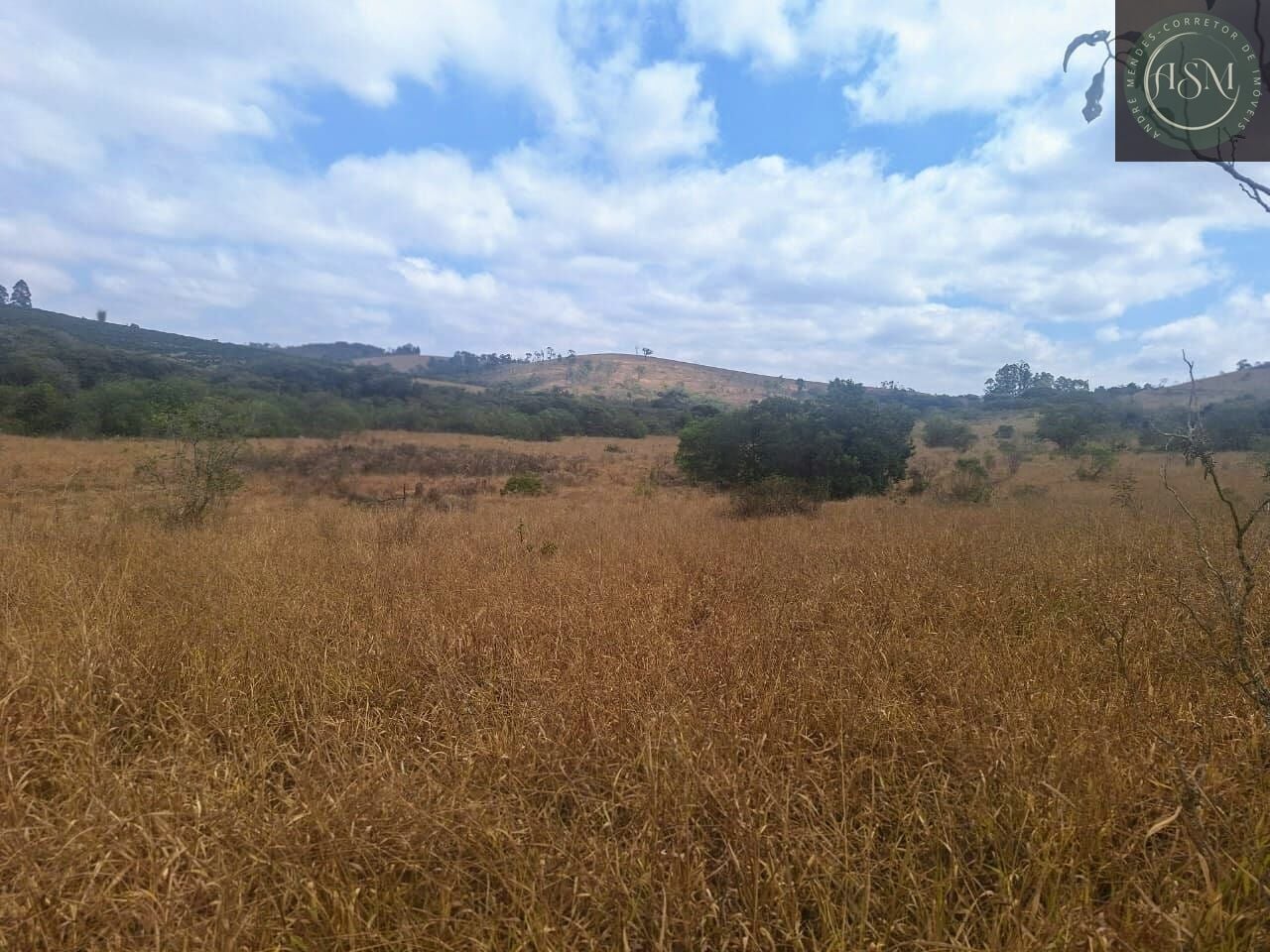 Fazenda, 55 hectares - Foto 5