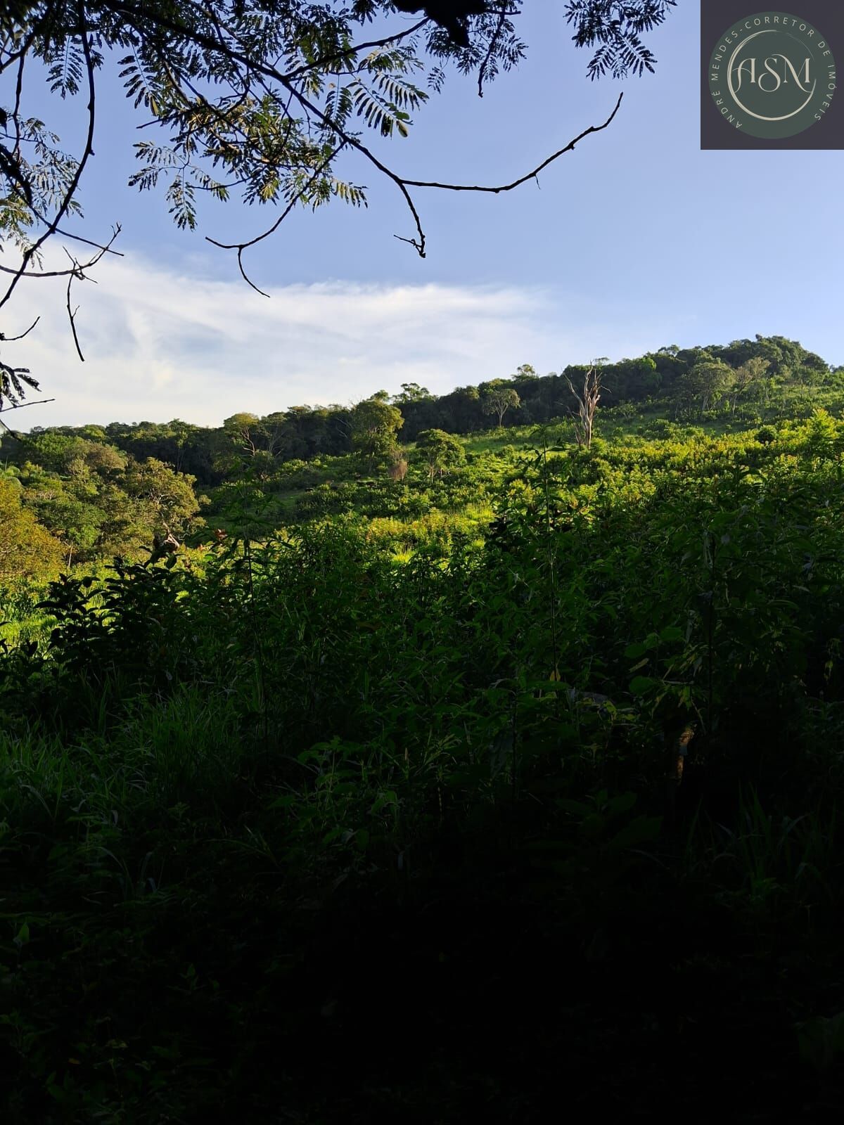 Sítio, 4 quartos, 23 hectares - Foto 12
