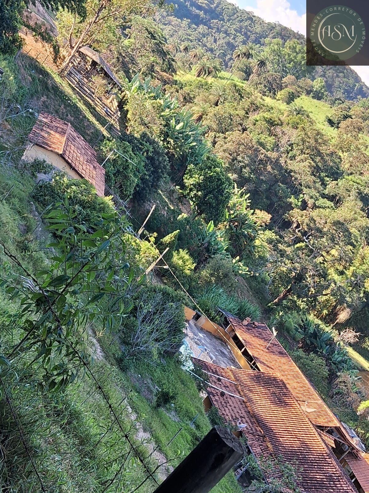 Sítio, 4 quartos, 23 hectares - Foto 7