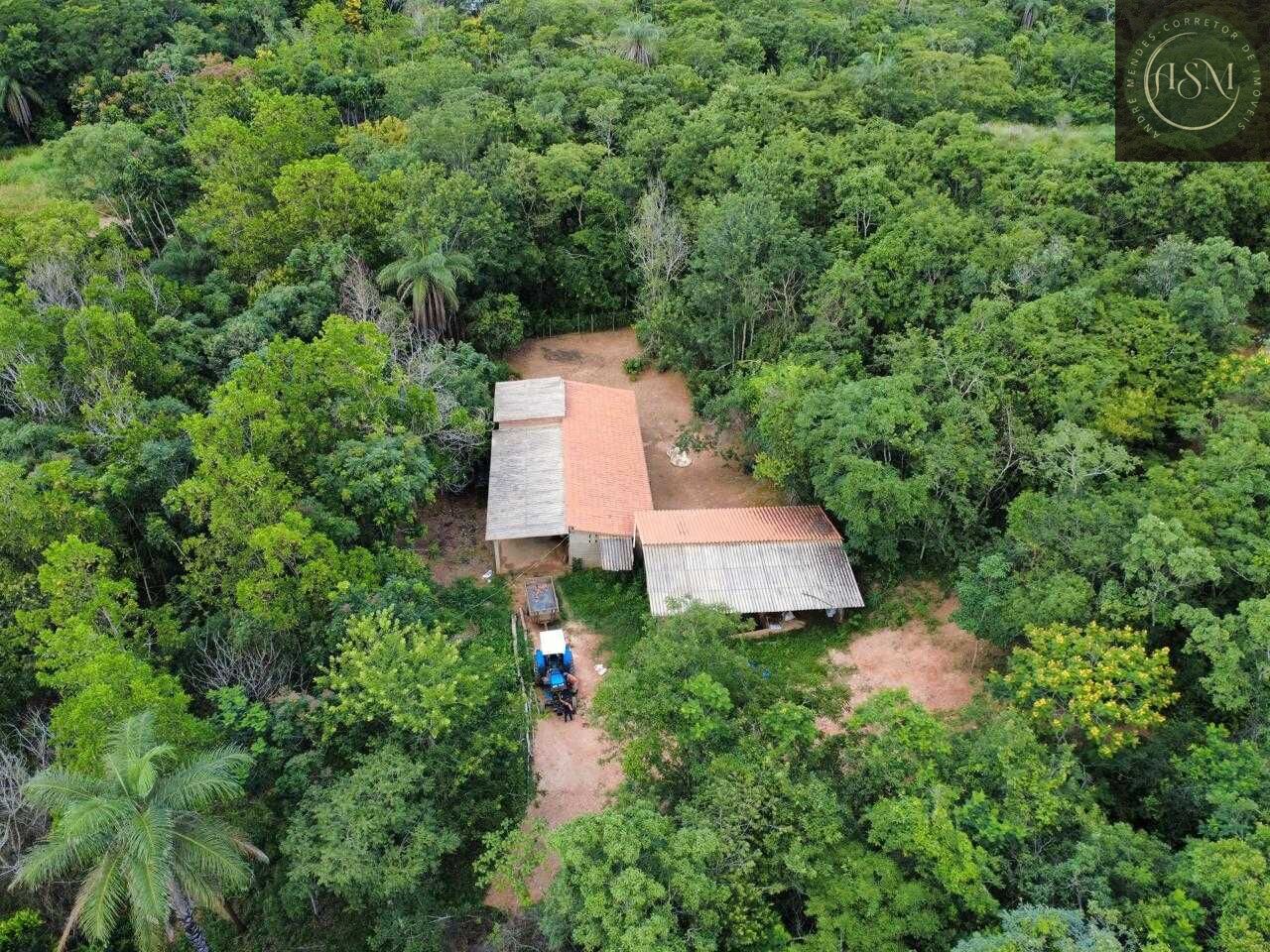 Fazenda, 37 hectares - Foto 10