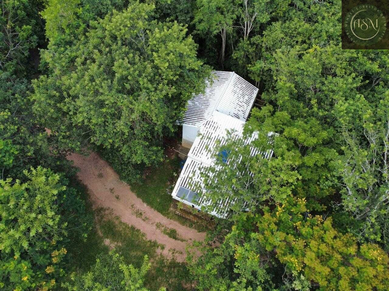 Fazenda, 37 hectares - Foto 4