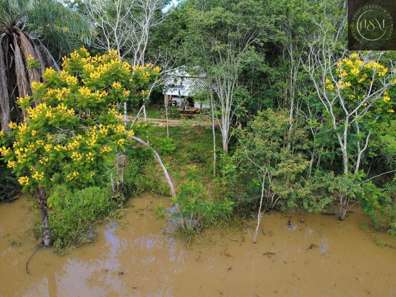 Fazenda, 37 hectares - Foto 20
