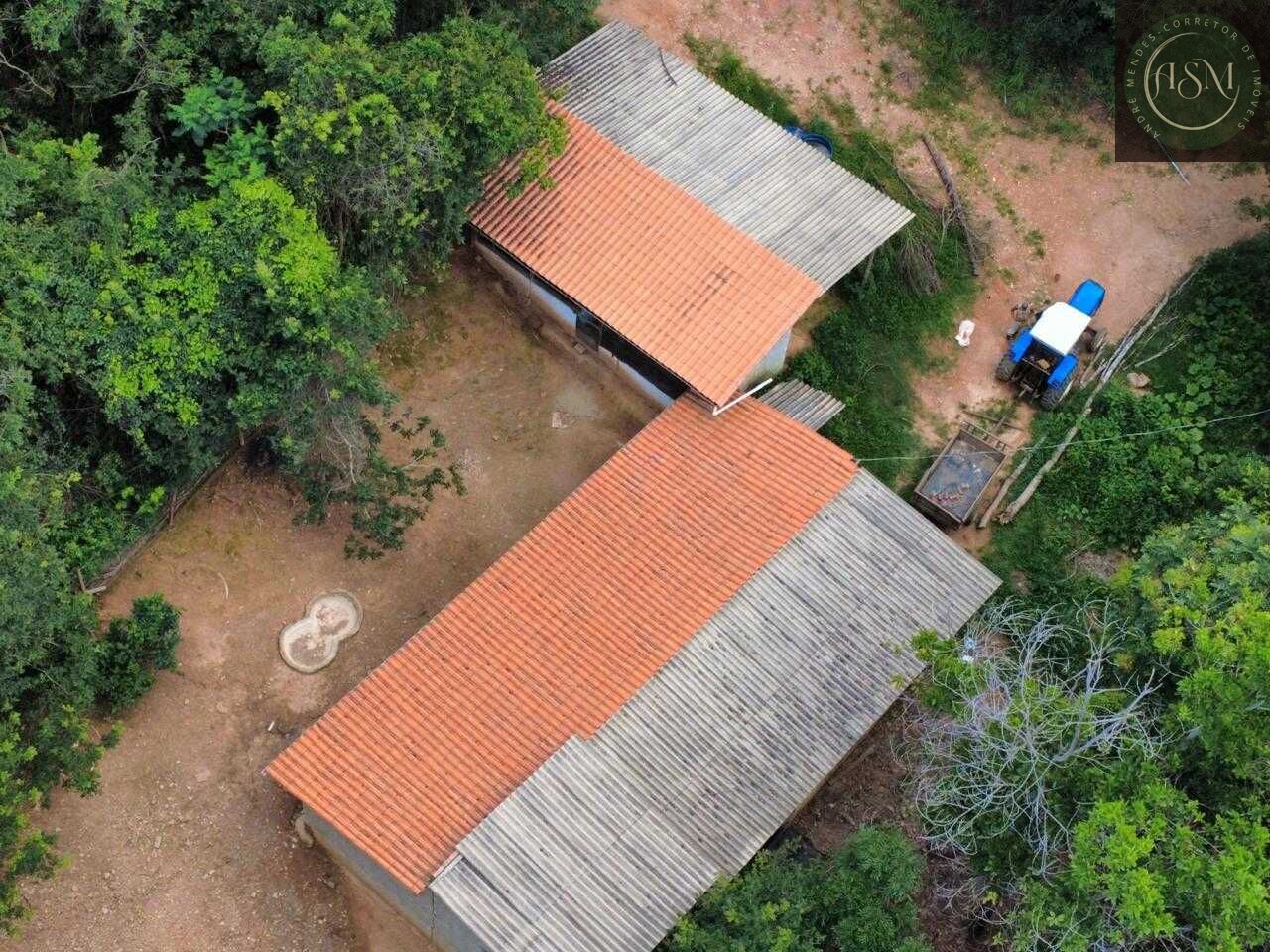Fazenda, 37 hectares - Foto 7