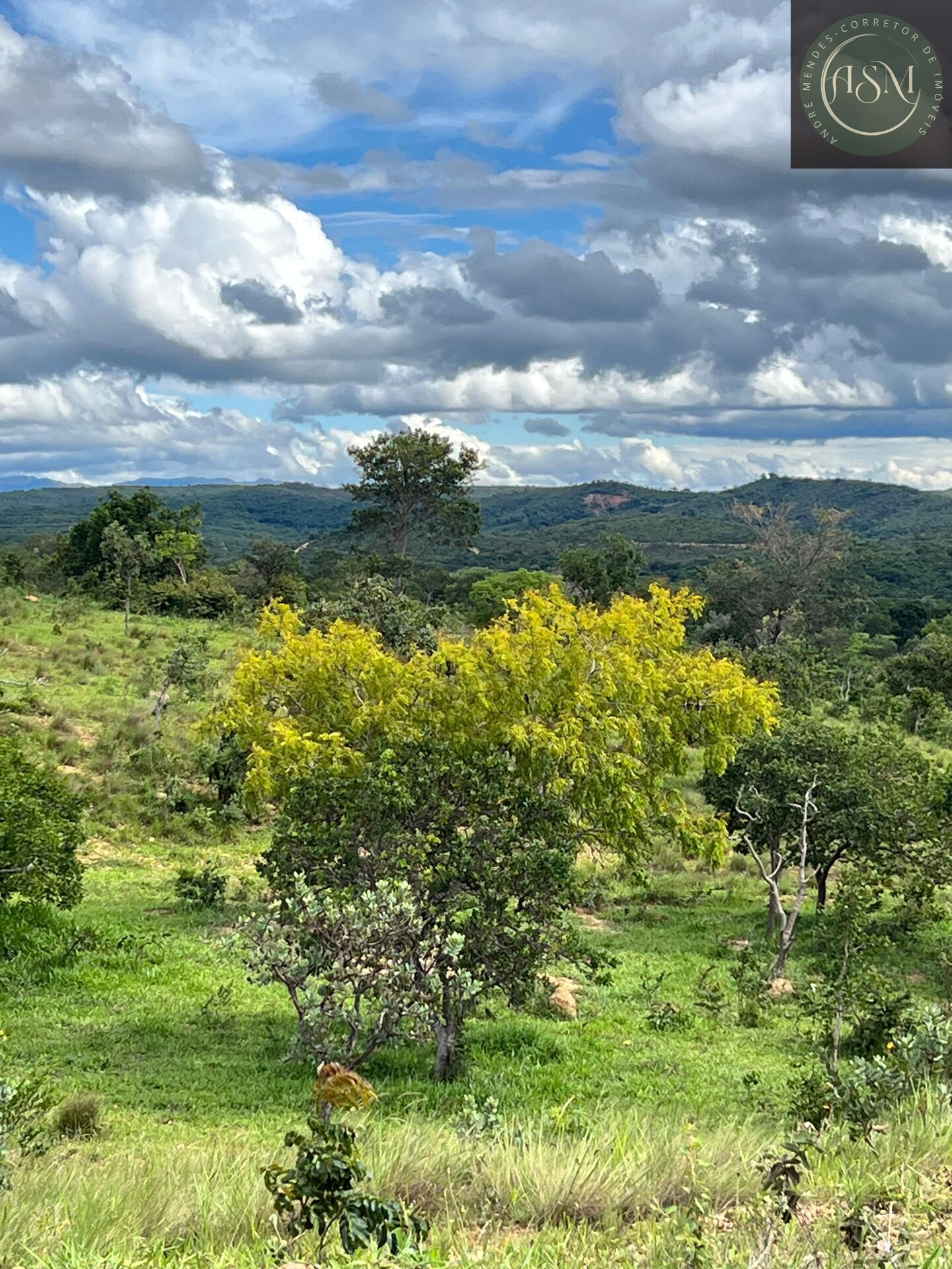 Fazenda, 2 hectares - Foto 17