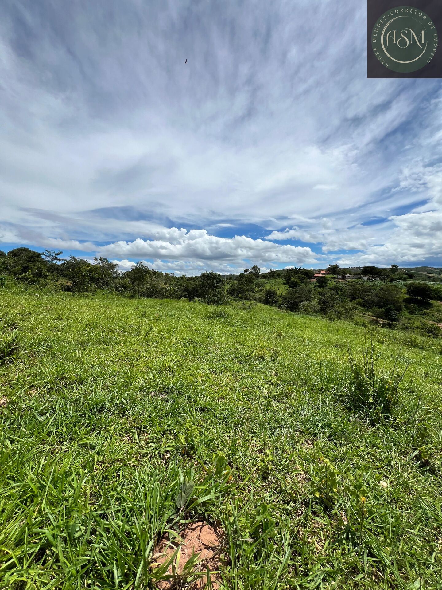Fazenda, 2 hectares - Foto 18
