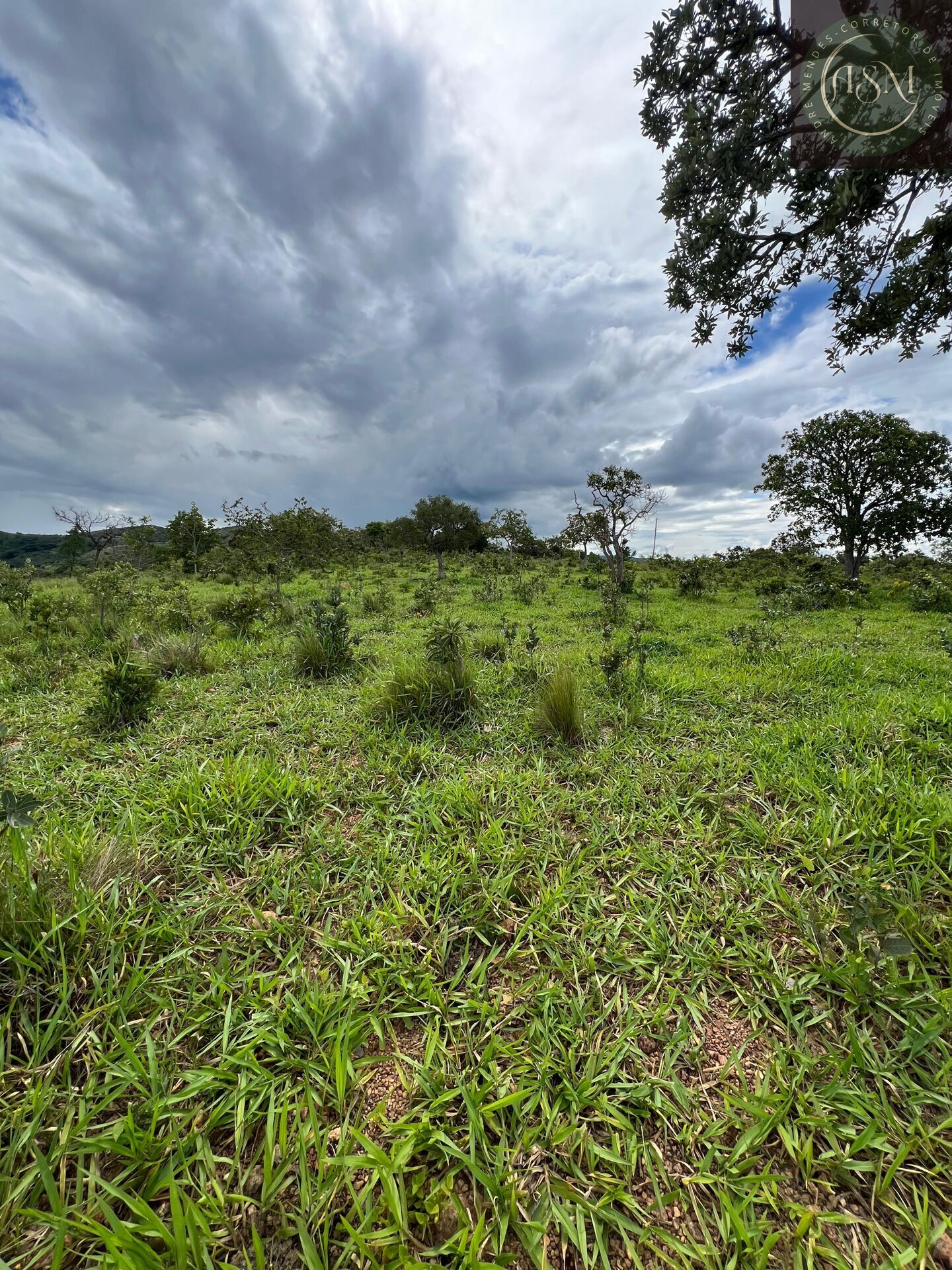 Fazenda, 2 hectares - Foto 32