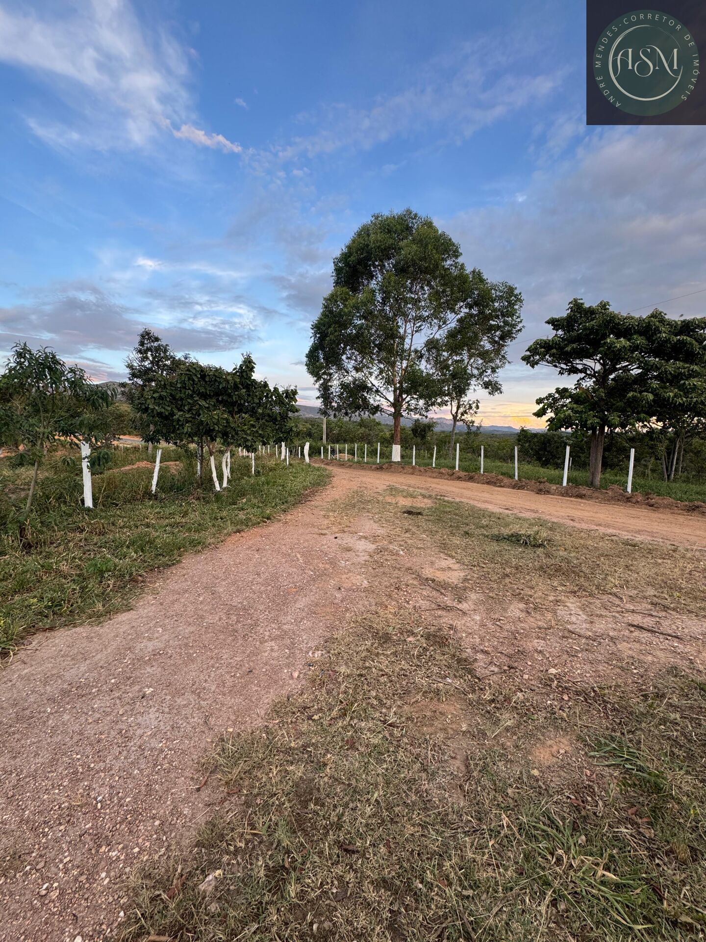 Fazenda, 2 hectares - Foto 30