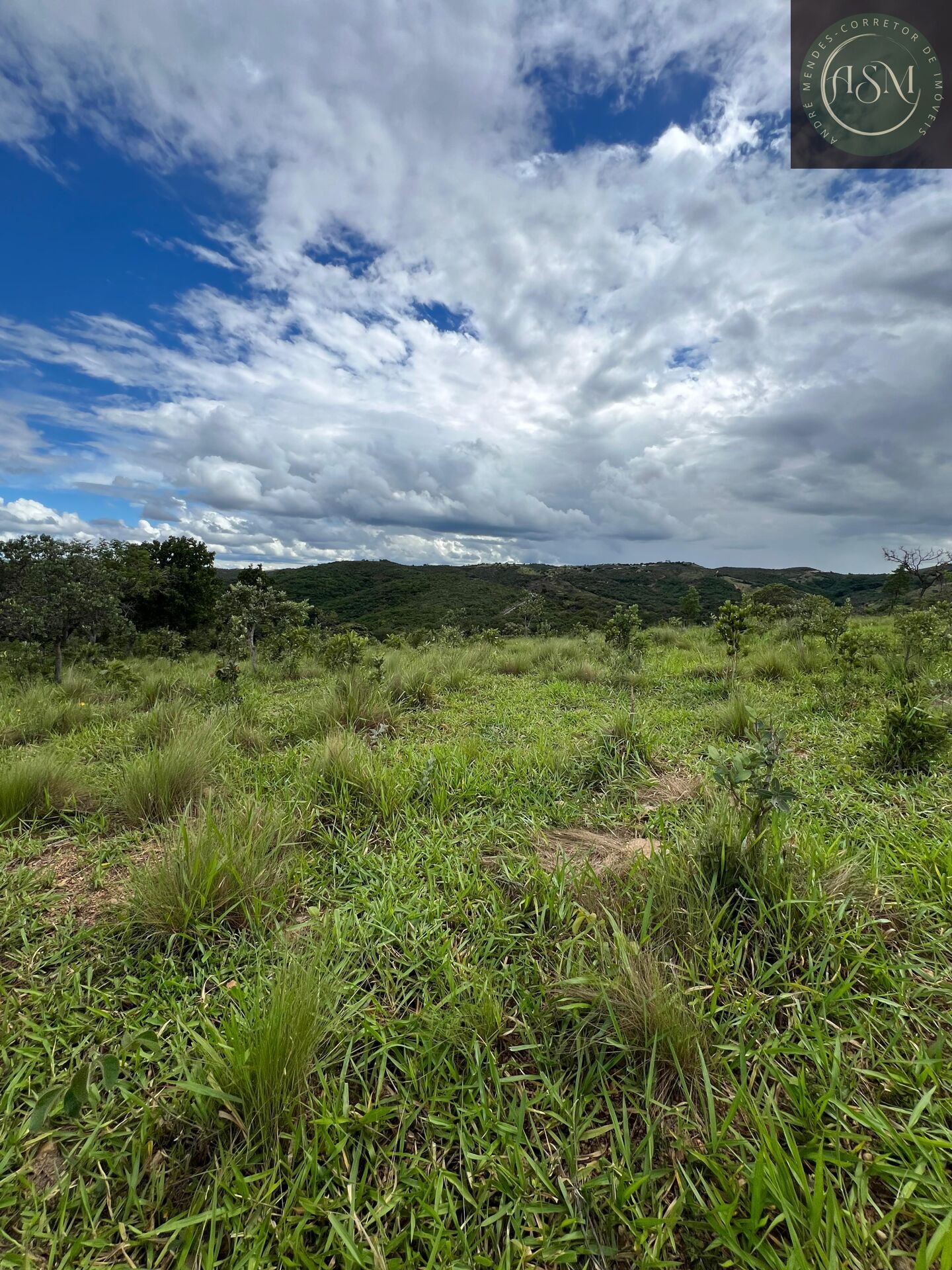 Fazenda, 2 hectares - Foto 38