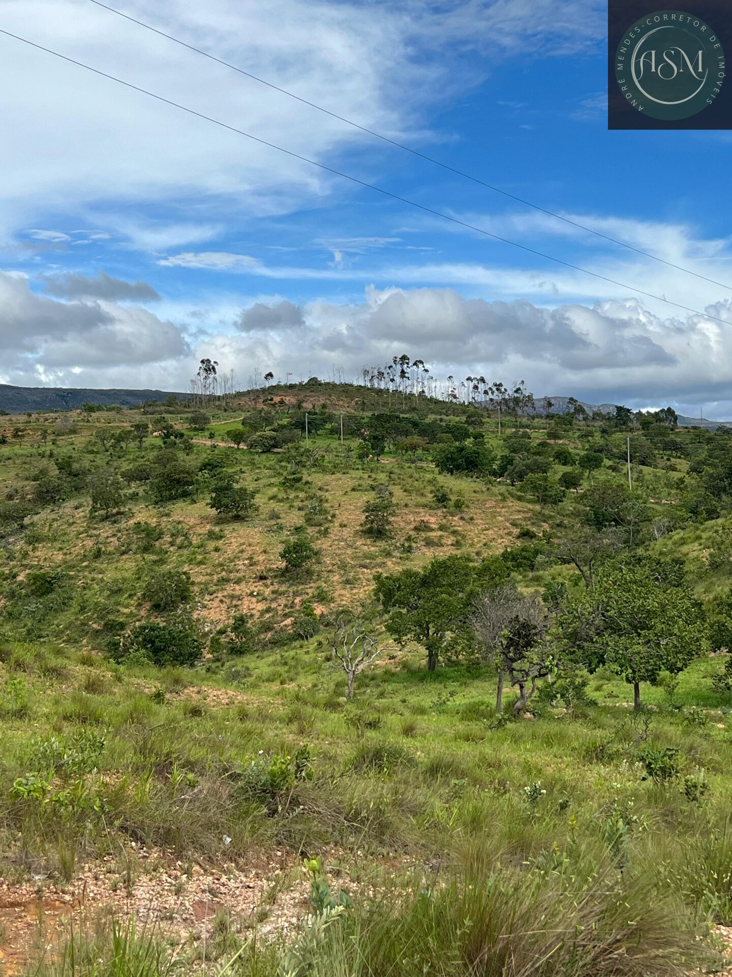 Fazenda, 2 hectares - Foto 23