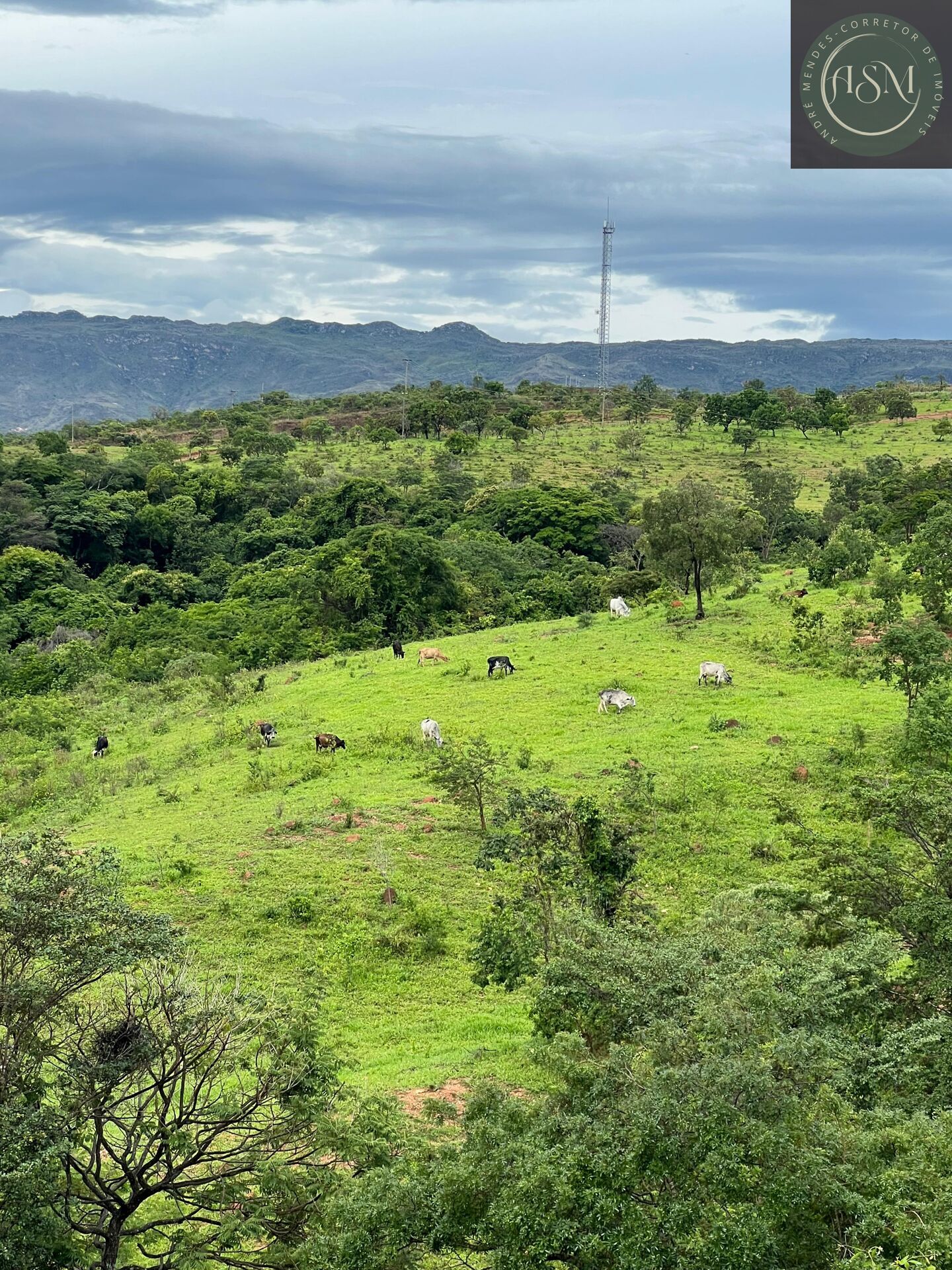 Fazenda, 2 hectares - Foto 34