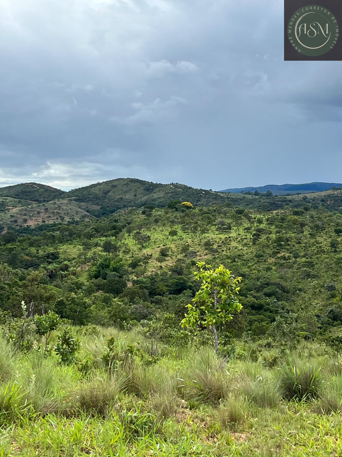 Fazenda, 2 hectares - Foto 37
