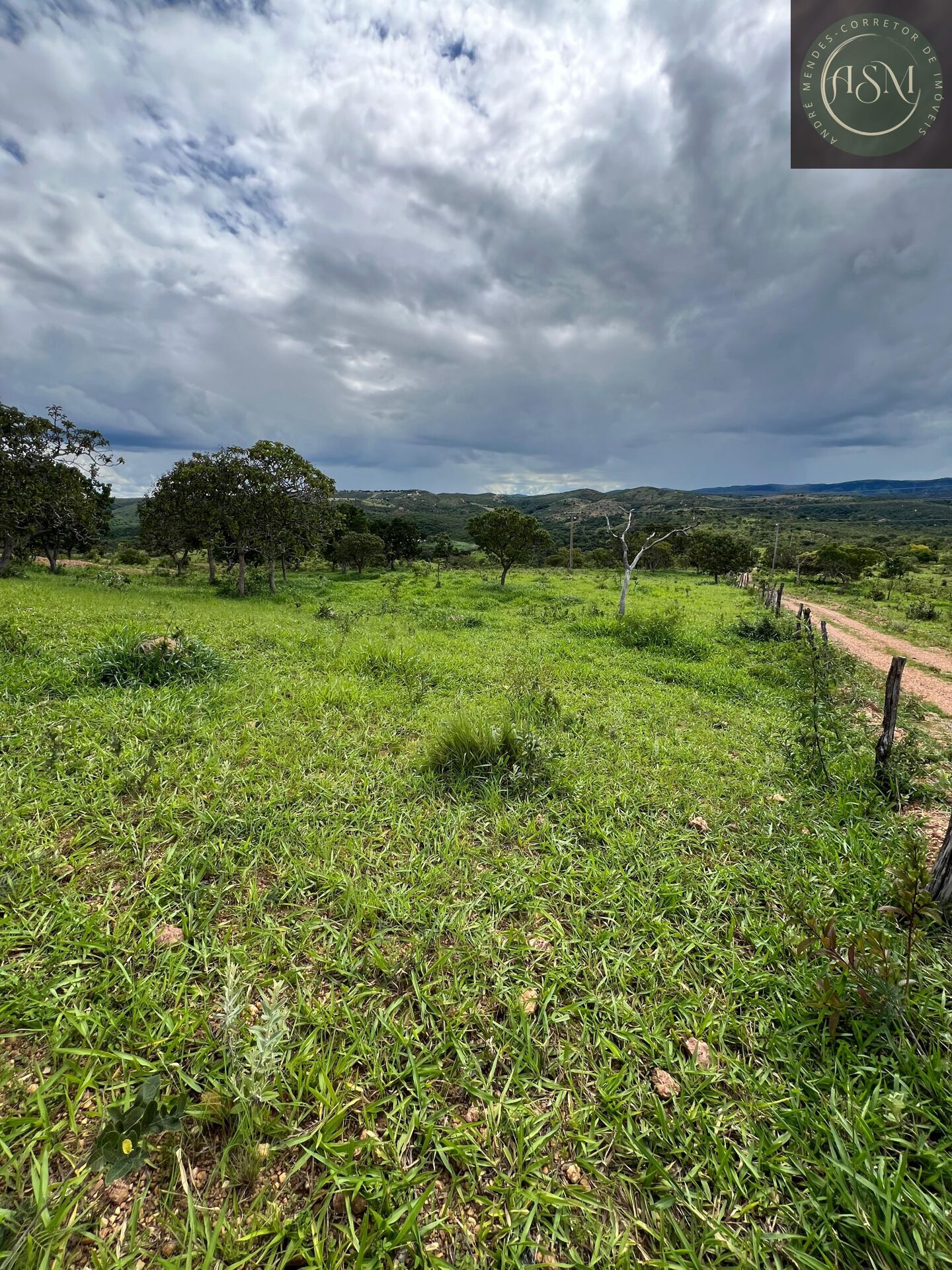Fazenda, 2 hectares - Foto 19