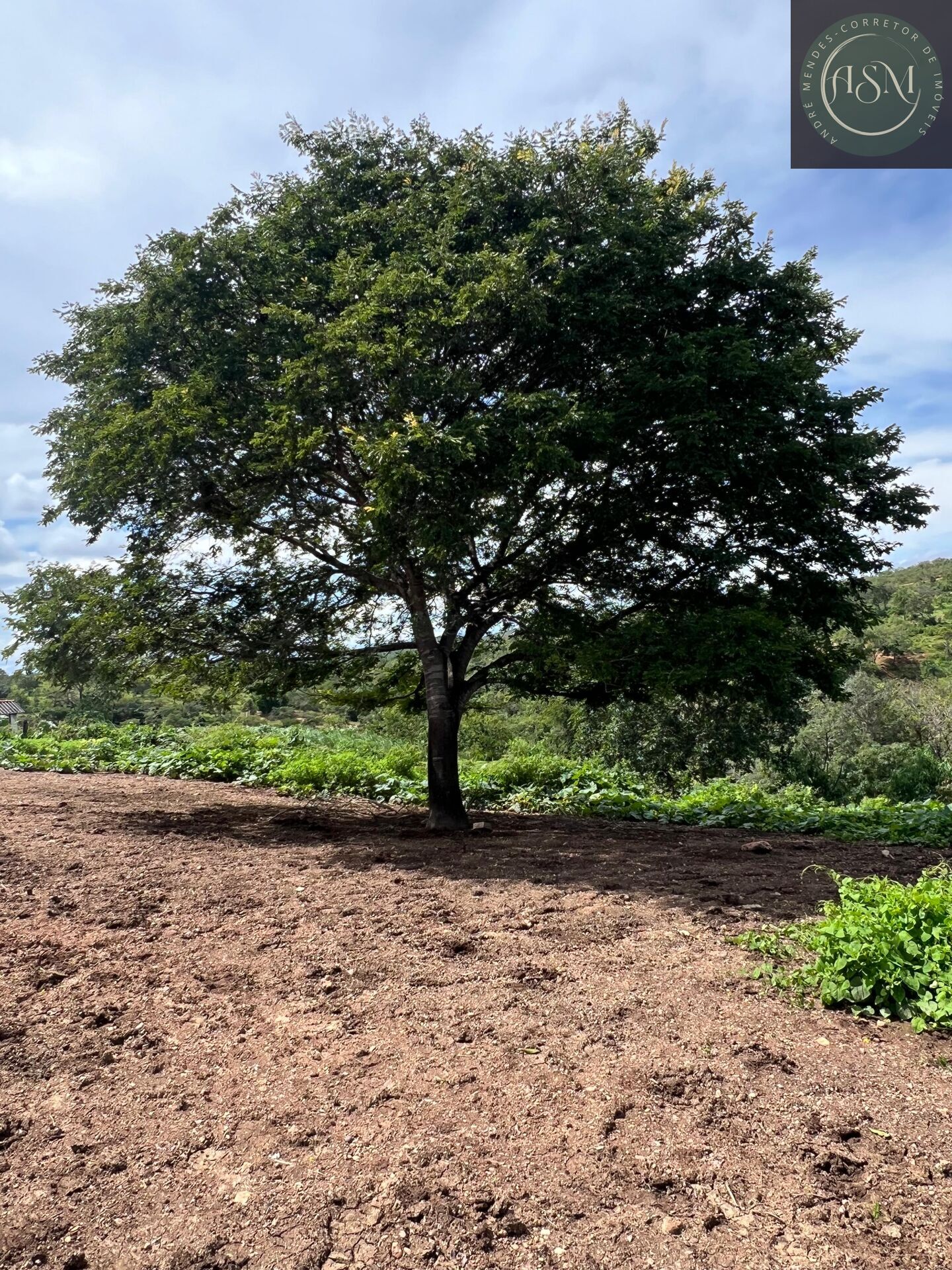 Fazenda, 2 hectares - Foto 40