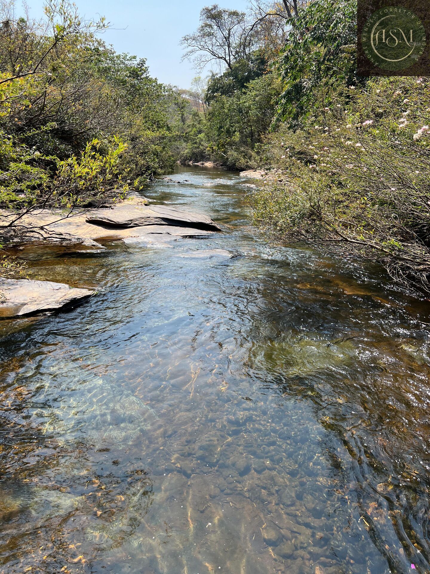 Fazenda, 2 hectares - Foto 12