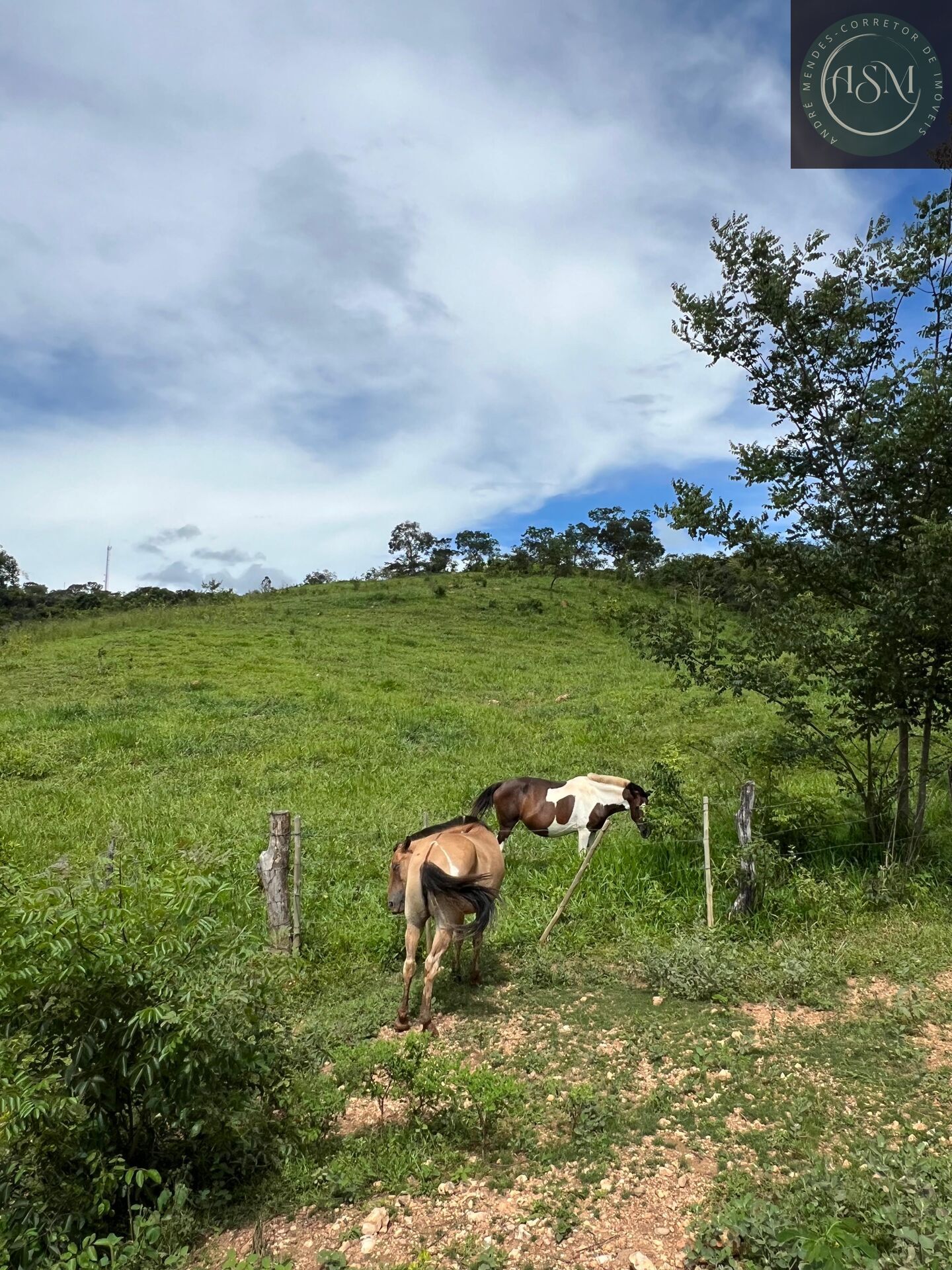 Fazenda, 2 hectares - Foto 10