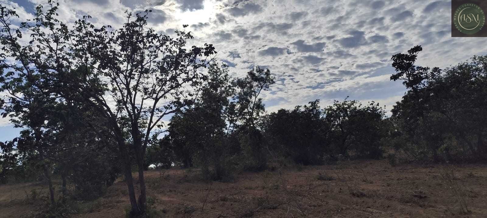 Fazenda, 2340 hectares - Foto 17