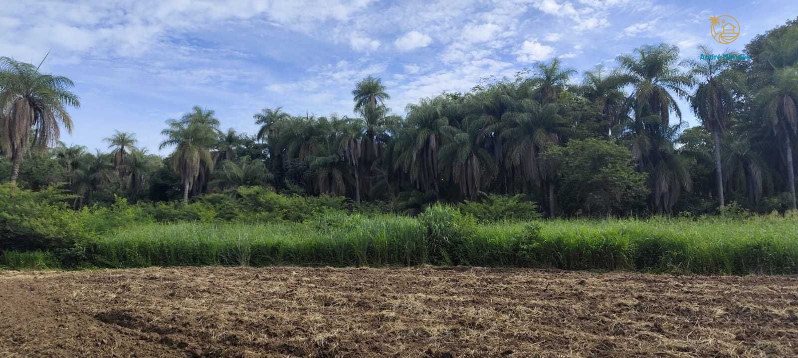 Fazenda, 2340 hectares - Foto 14