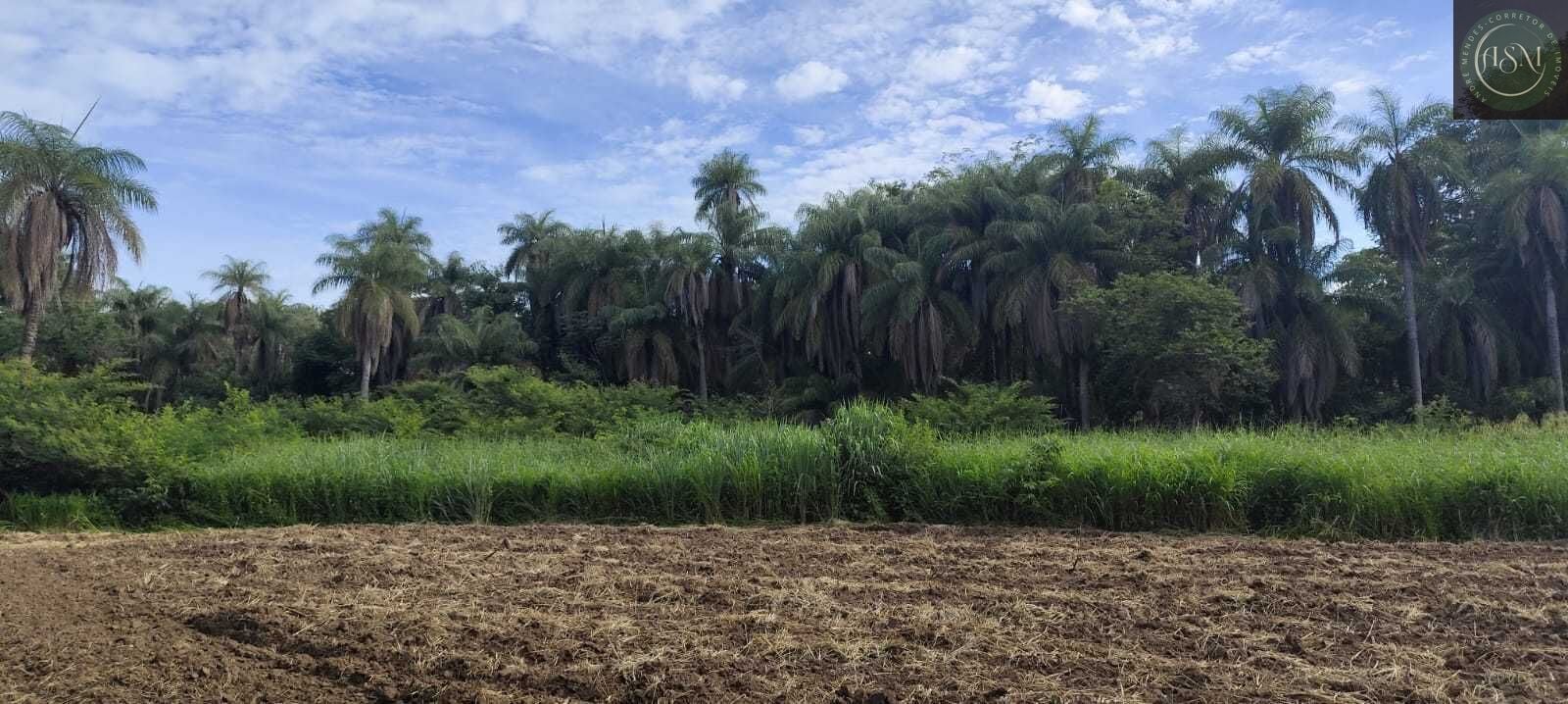 Fazenda, 2340 hectares - Foto 14