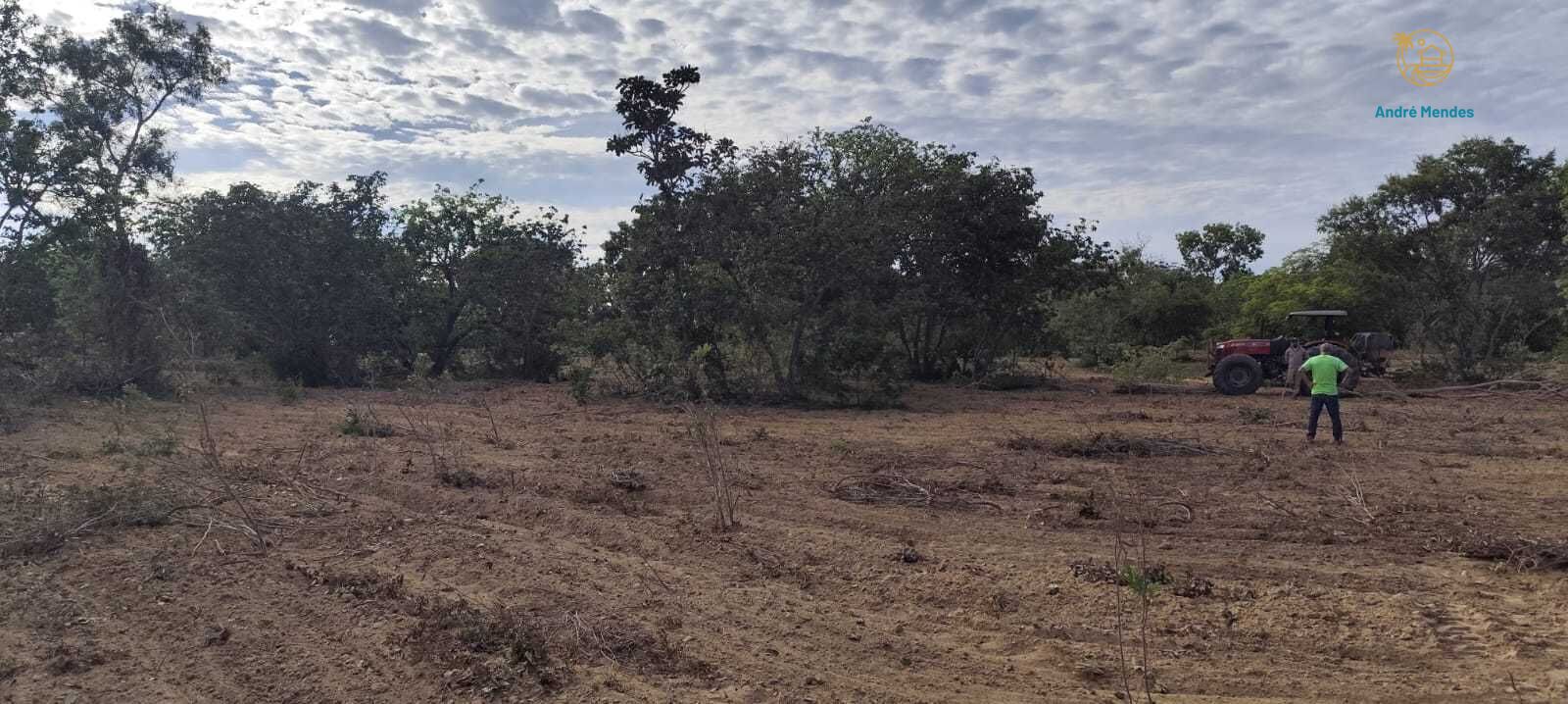Fazenda, 2340 hectares - Foto 18
