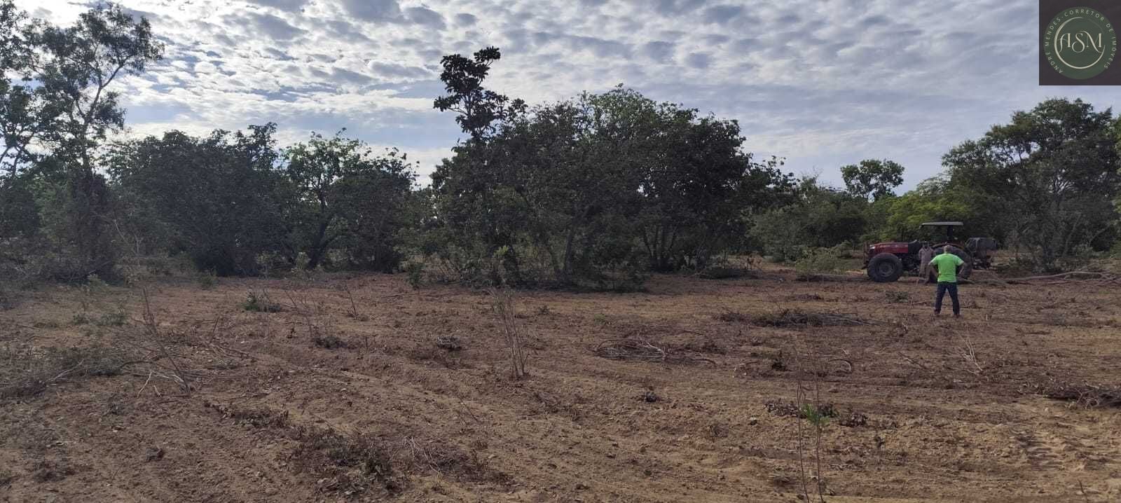 Fazenda, 2340 hectares - Foto 18