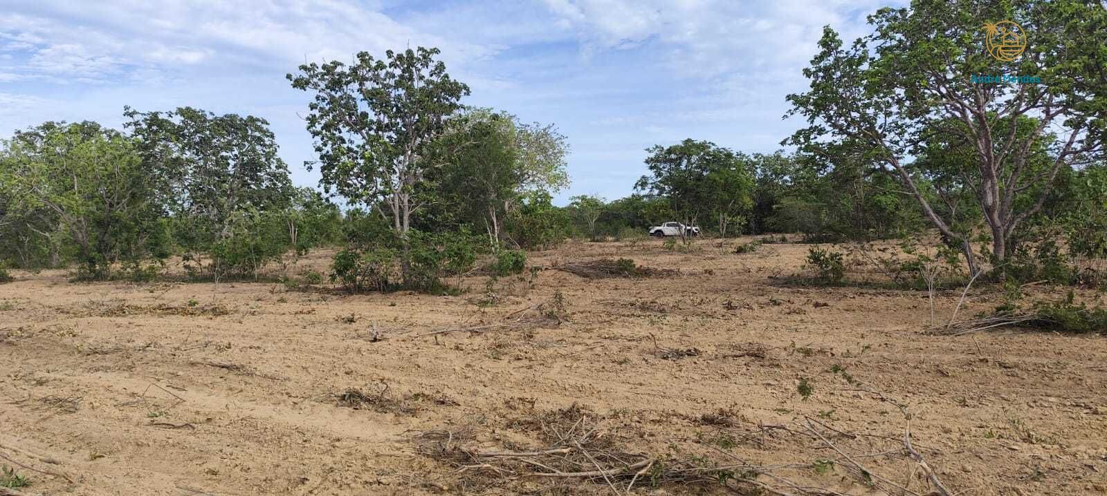 Fazenda, 2340 hectares - Foto 16